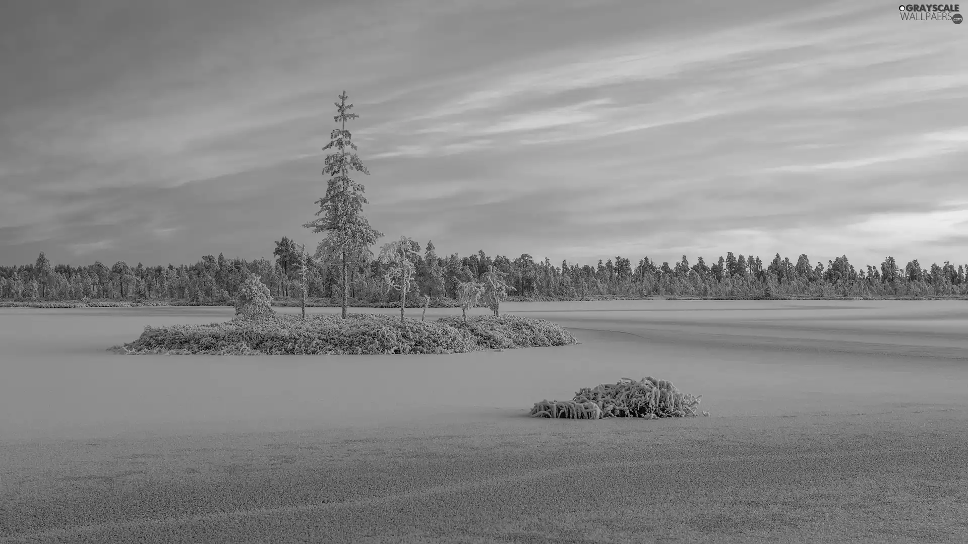 lake, Ladoga, winter, trees, clouds, Karelia, Russia, viewes