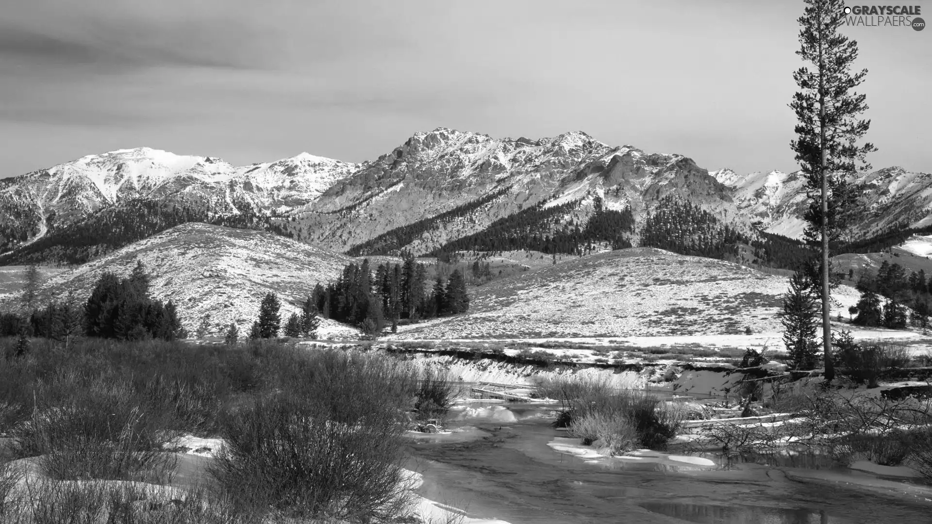 viewes, winter, River, trees, Mountains