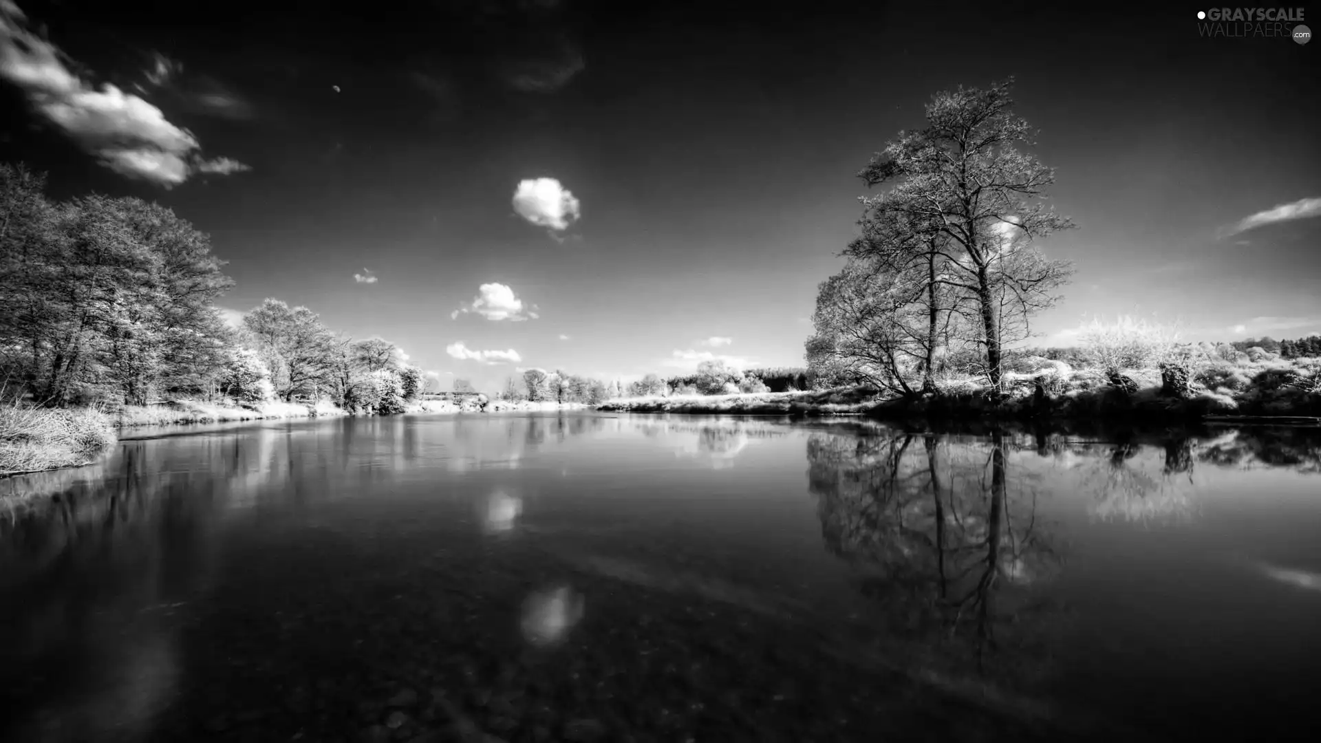 viewes, winter, River, trees, red hot