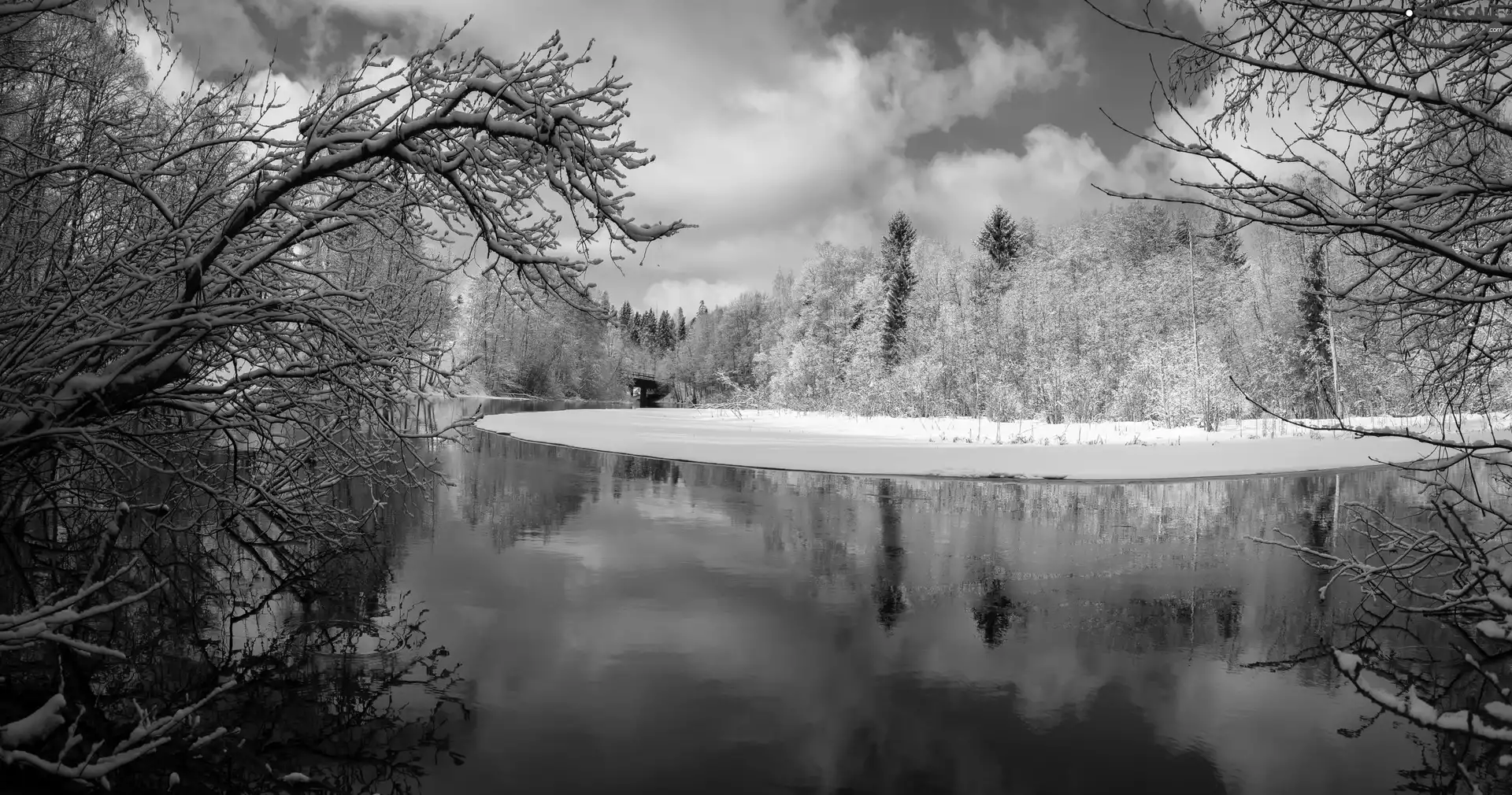 trees, viewes, winter, forest, River