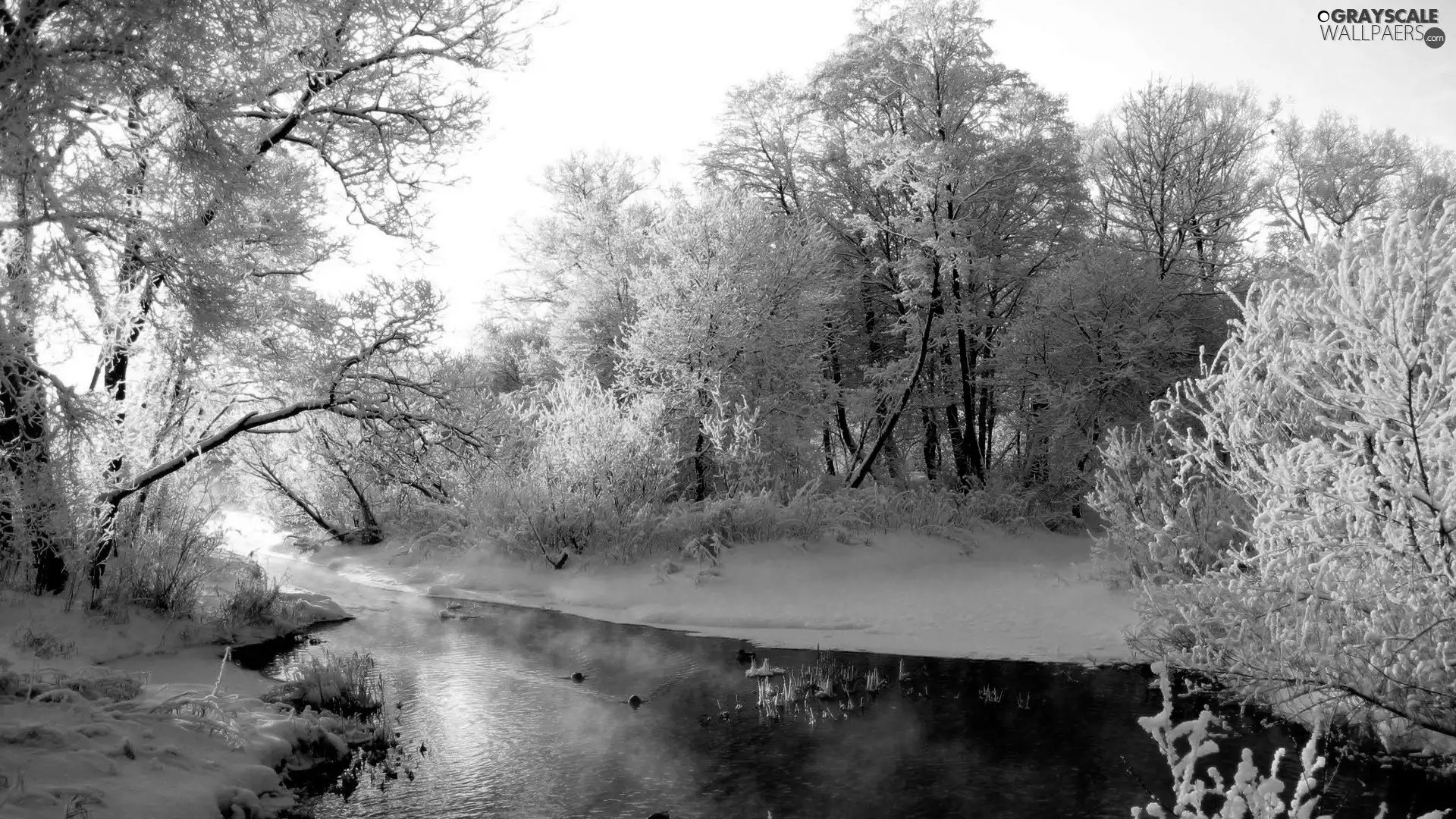 viewes, winter, Snowy, trees, River