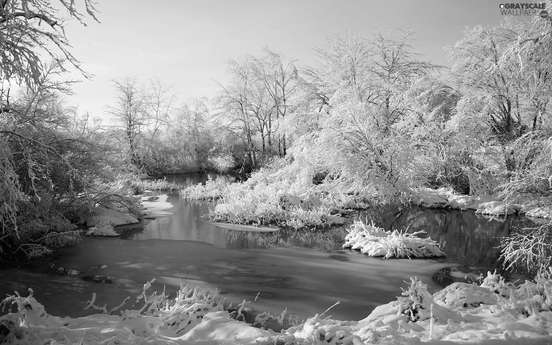 viewes, winter, Snowy, trees, River