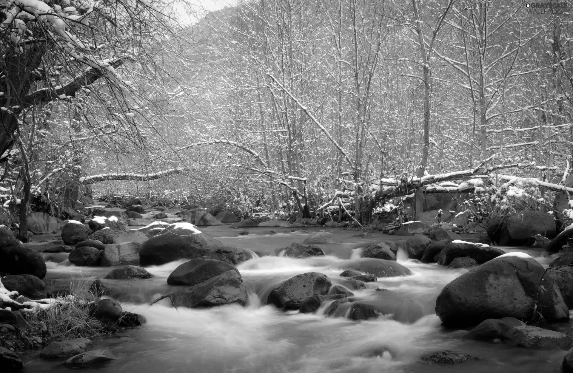 viewes, winter, Stones, trees, River