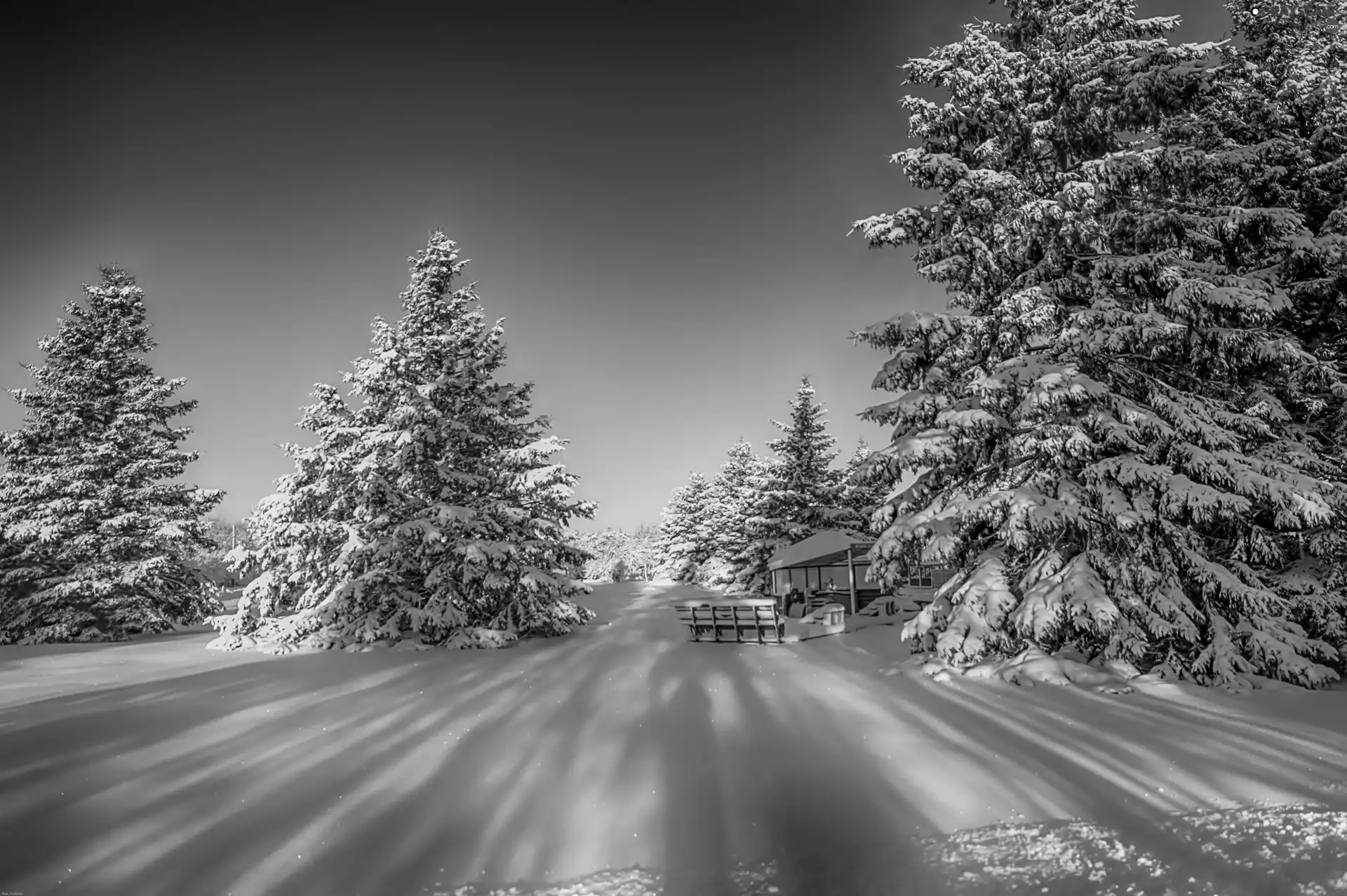 winter, trees, viewes, alcove