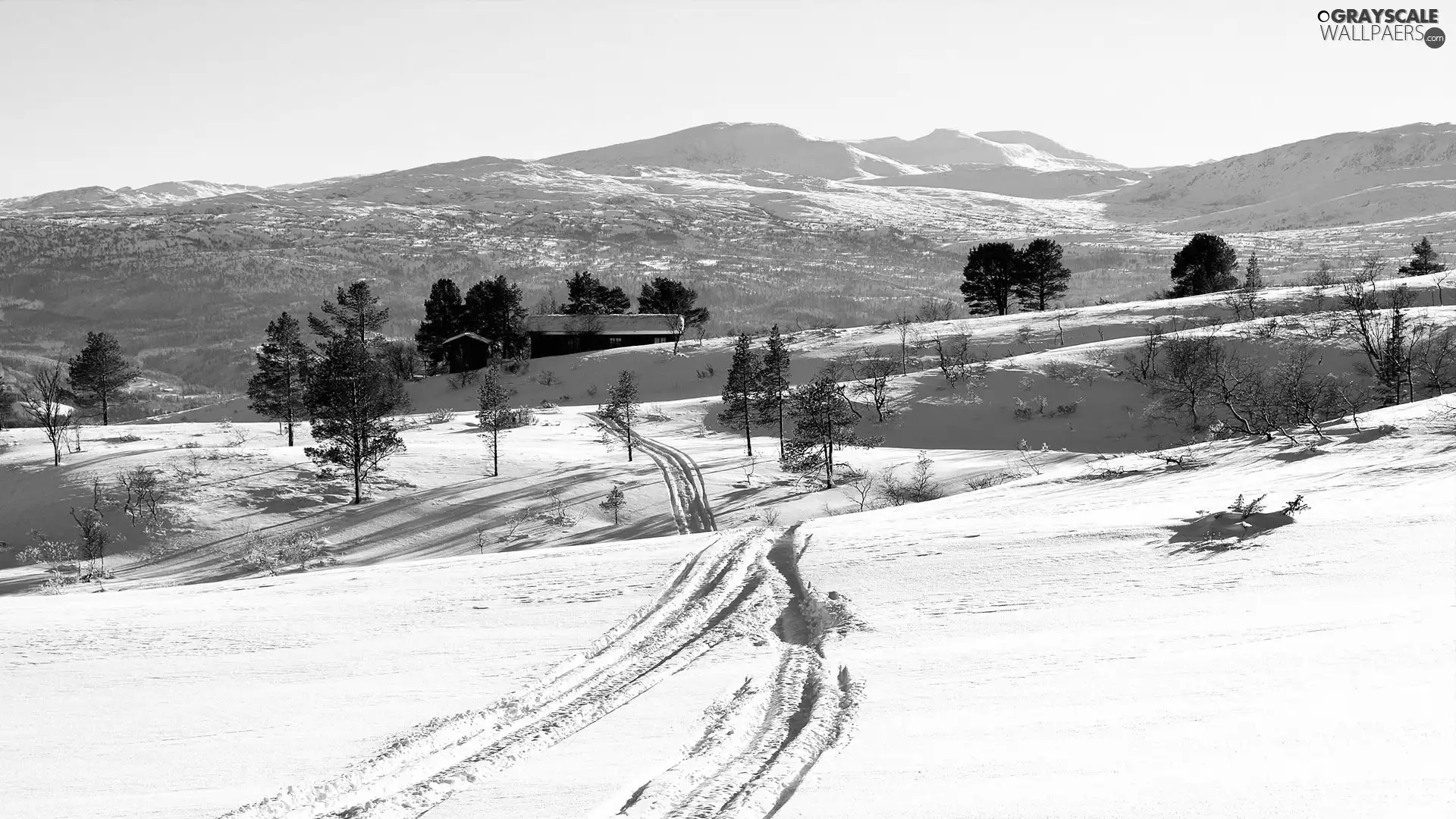 Mountains, Farms, viewes, winter, trees, field