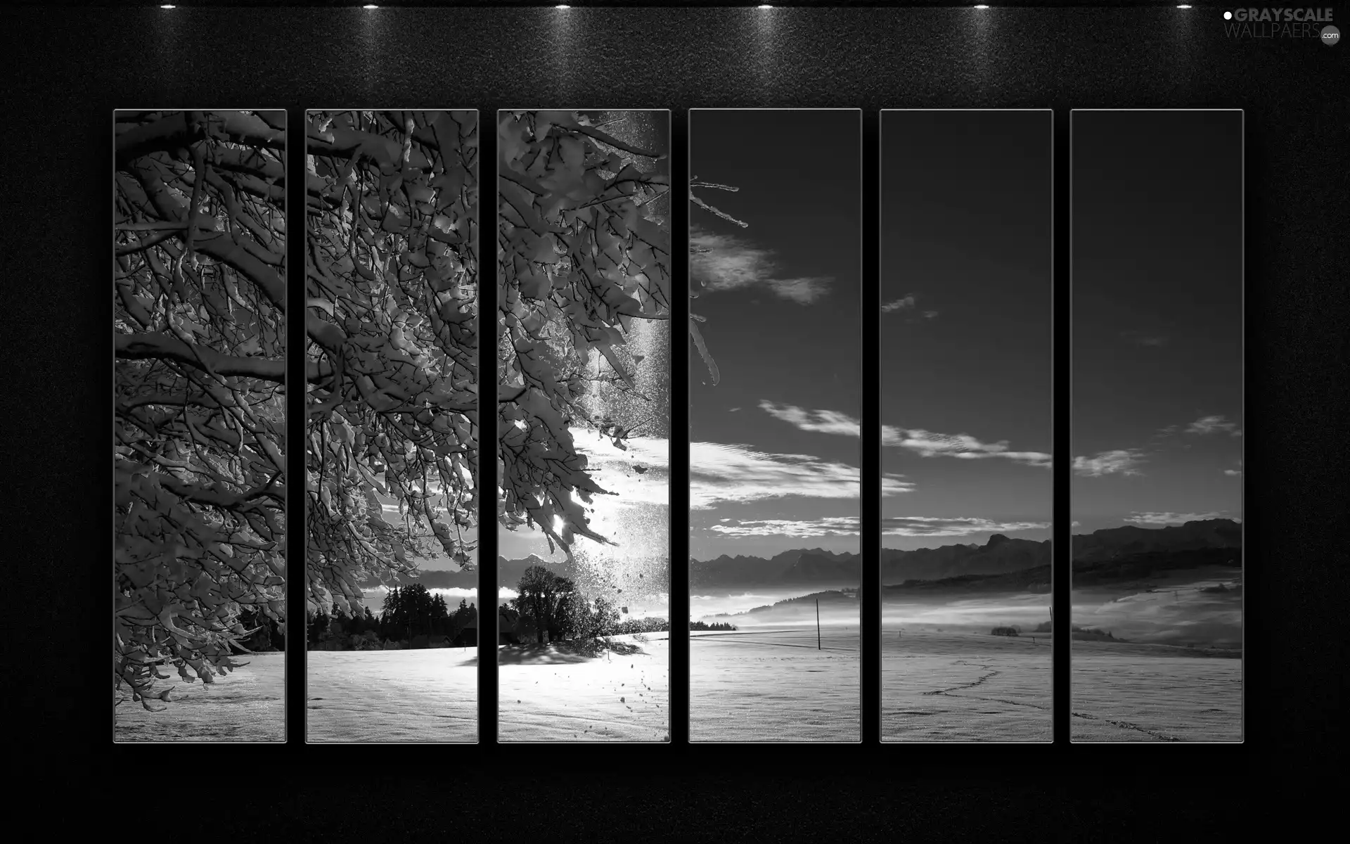 winter, trees, viewes, snow