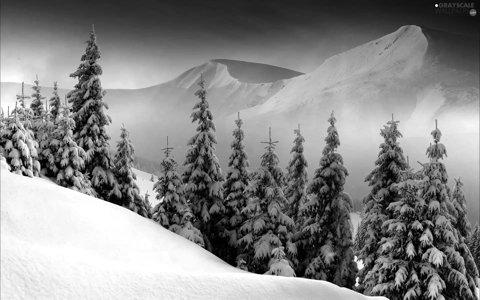 Mountains, west, viewes, winter, trees, sun