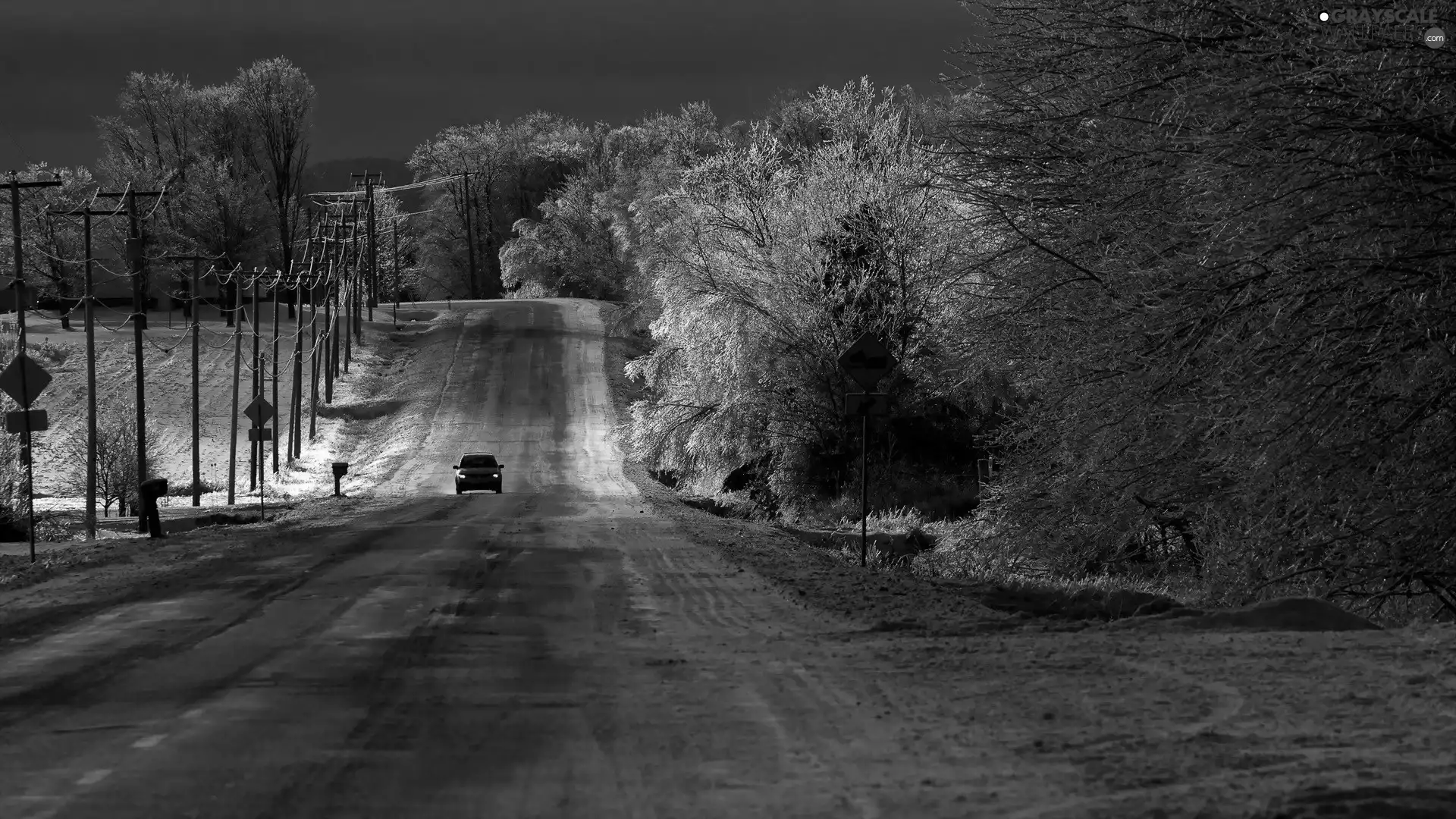 viewes, winter, Automobile, trees, Way