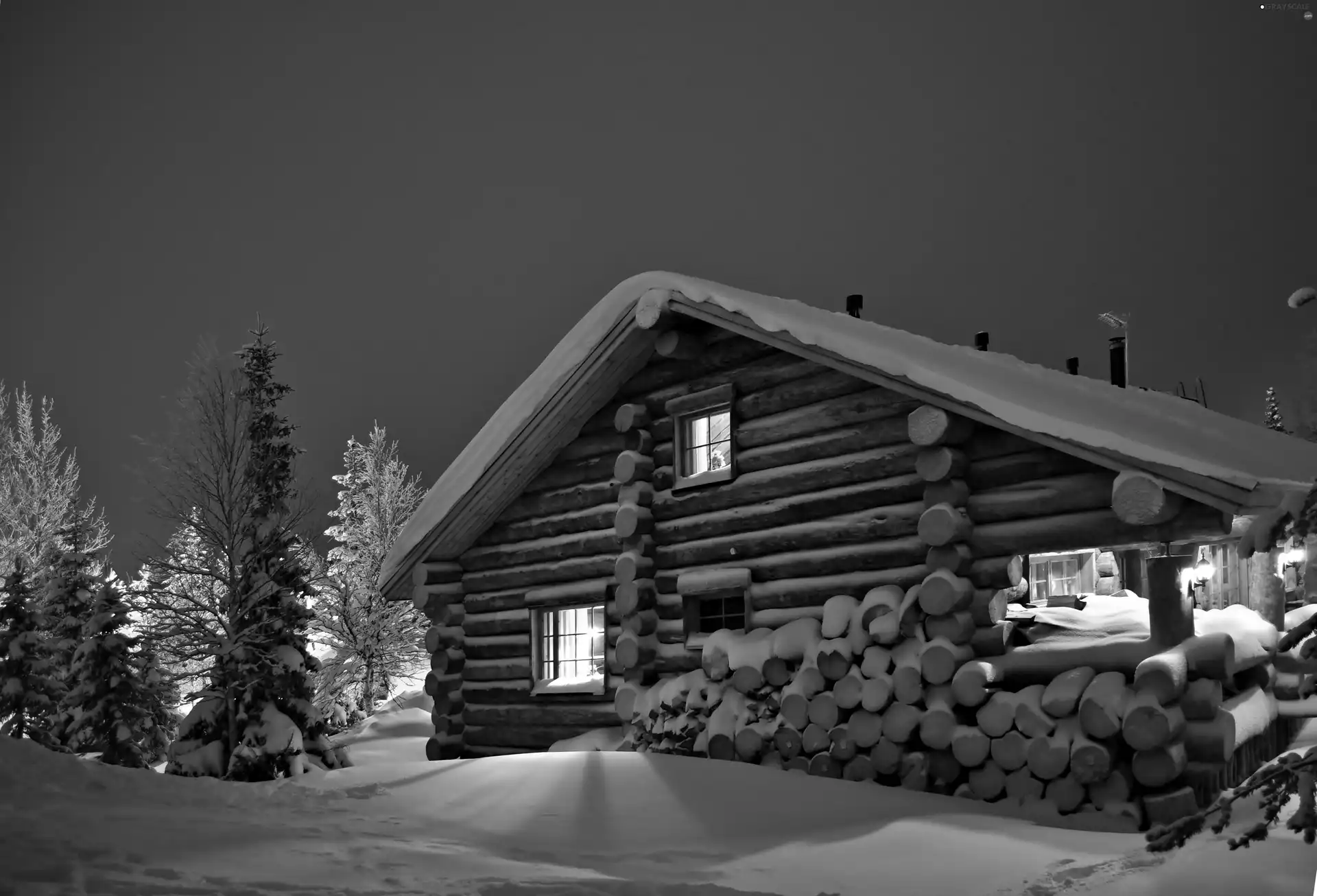 viewes, winter, Home, trees, wooden