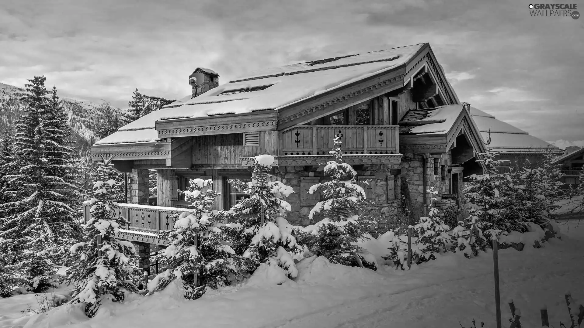 viewes, winter, house, trees, wooden