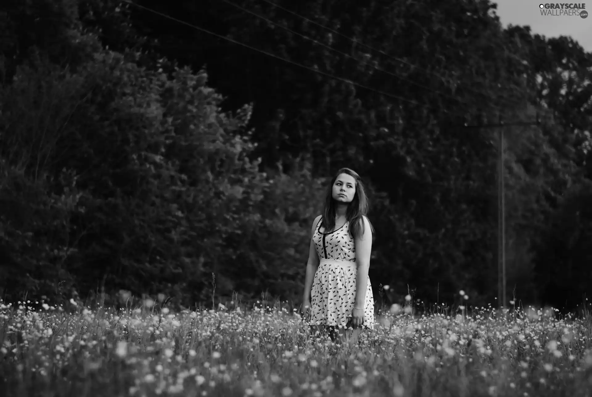 Women, trees, viewes, Field