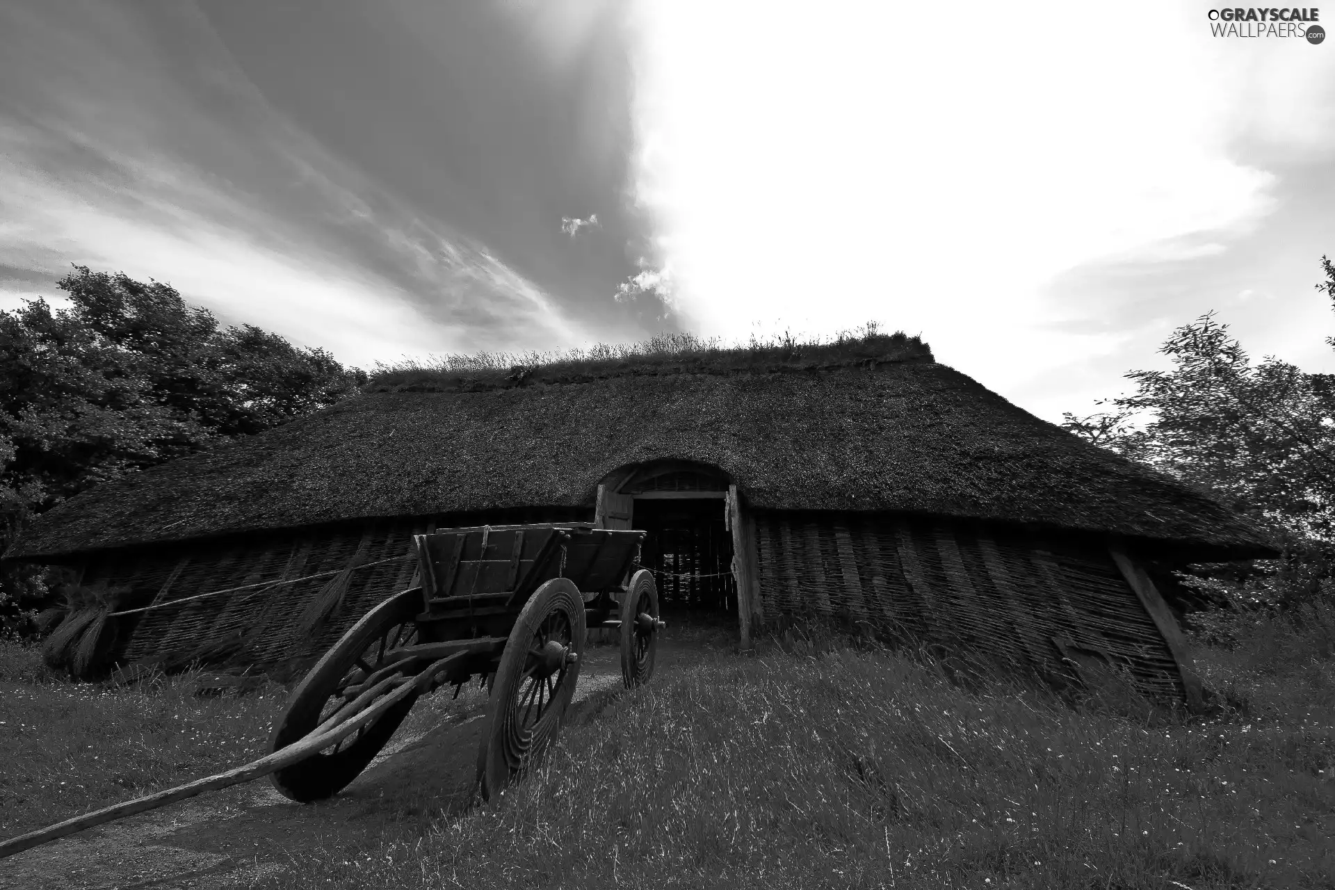 Barn, Vikings