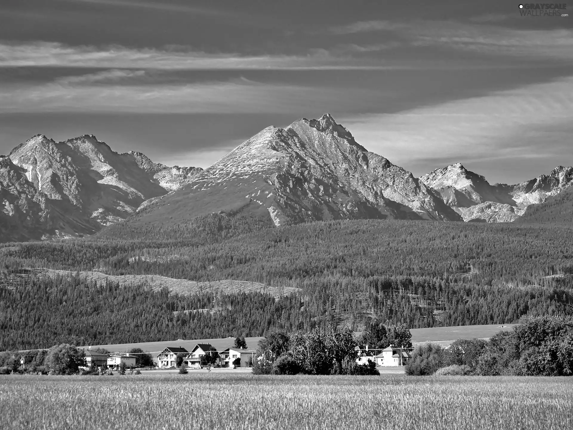 Tatras, field, village, summer