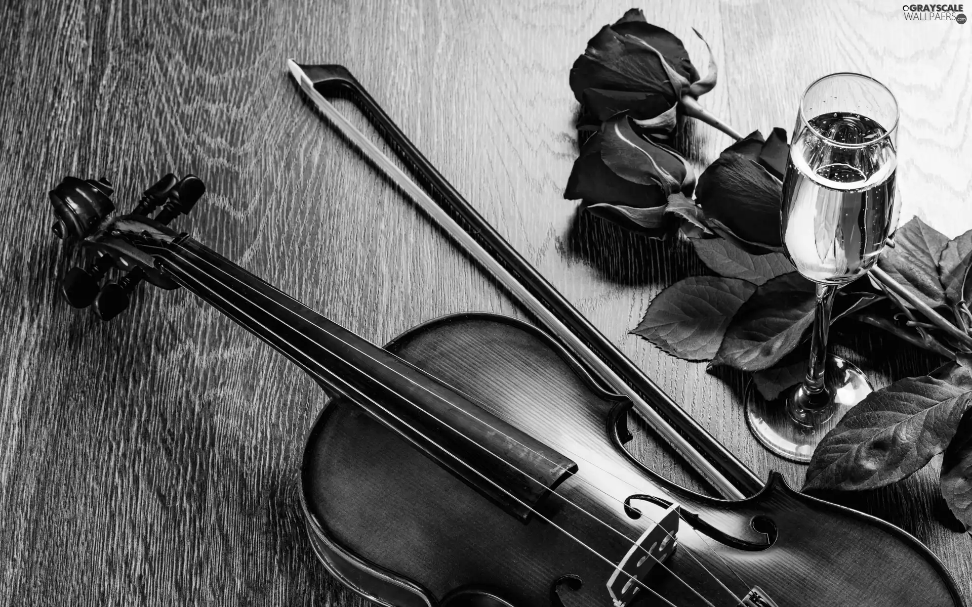 violin, bouquet, Wines, composition, wine glass, rouge