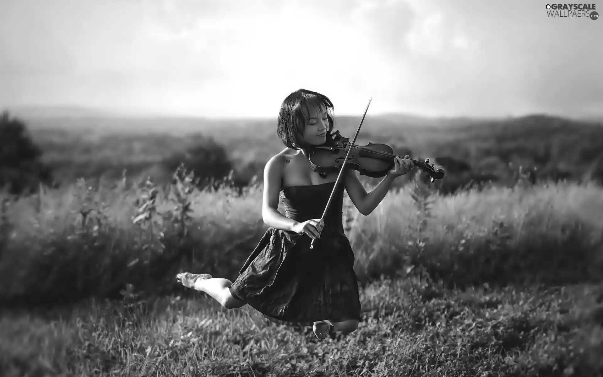 violin, Meadow, Women