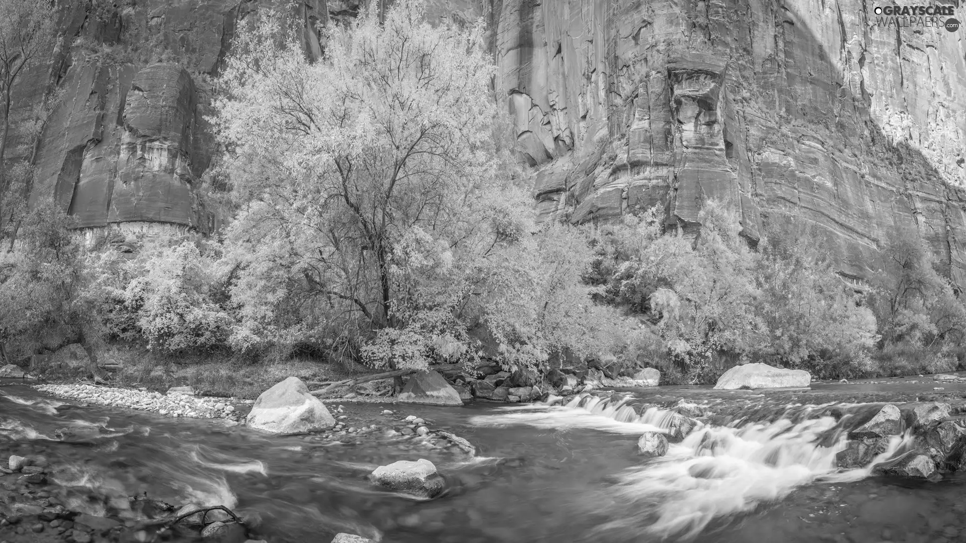 Zion National Park, Zion Narrows Canyon, Virgin River, rocks, Stones, Utah State, The United States, VEGETATION