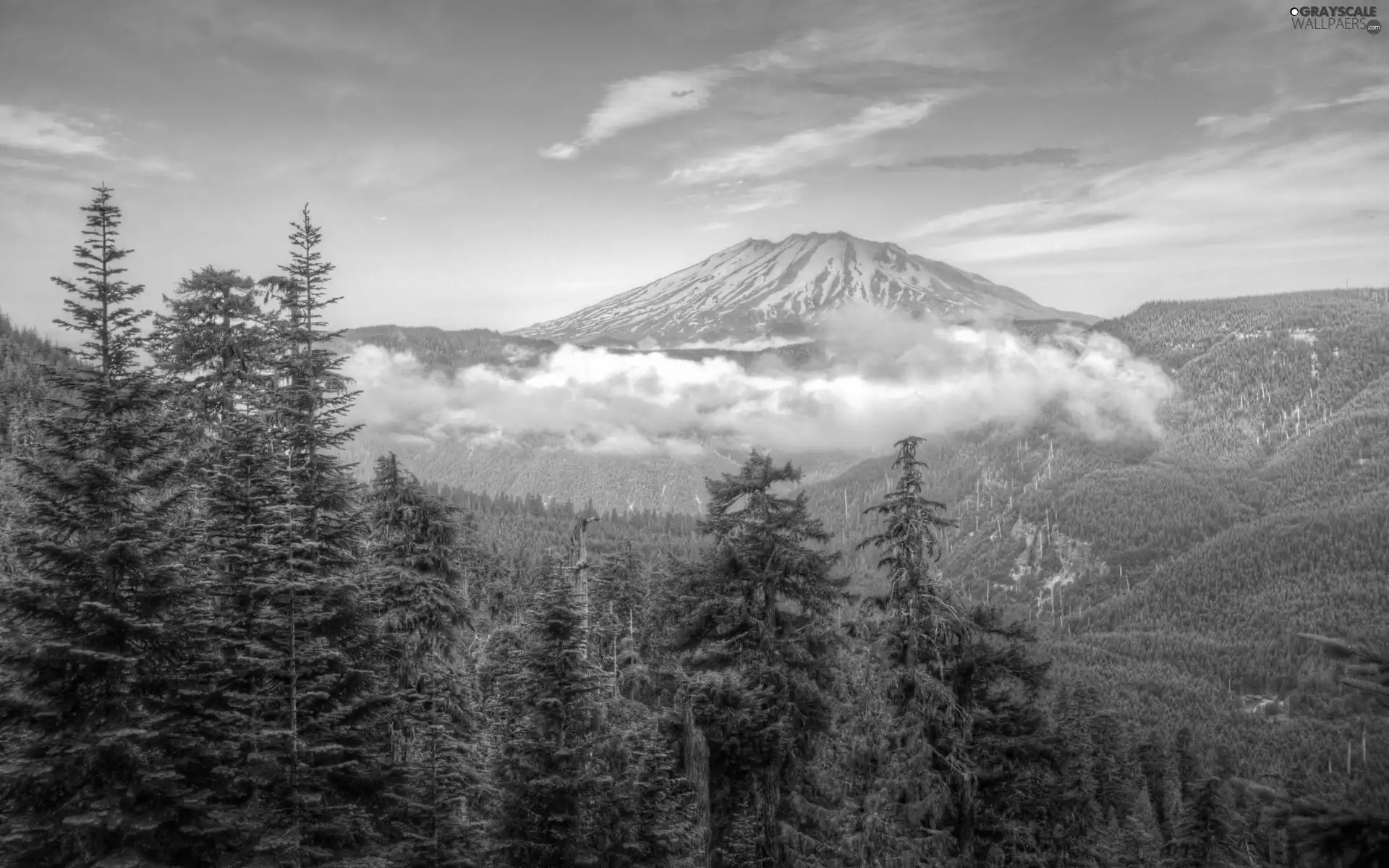 forest, volcano