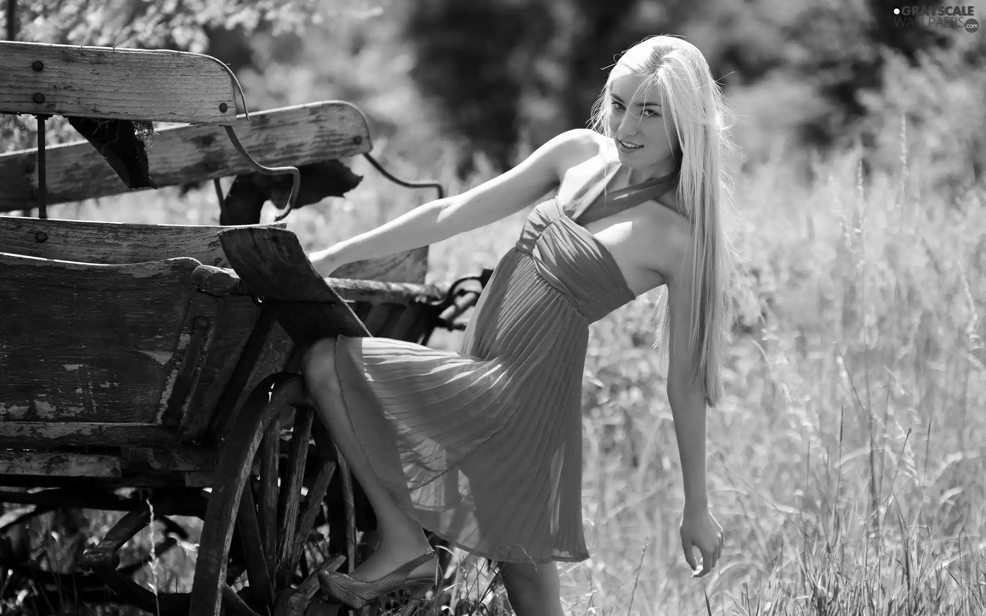 wagon, grass, ethereal, dress, girl