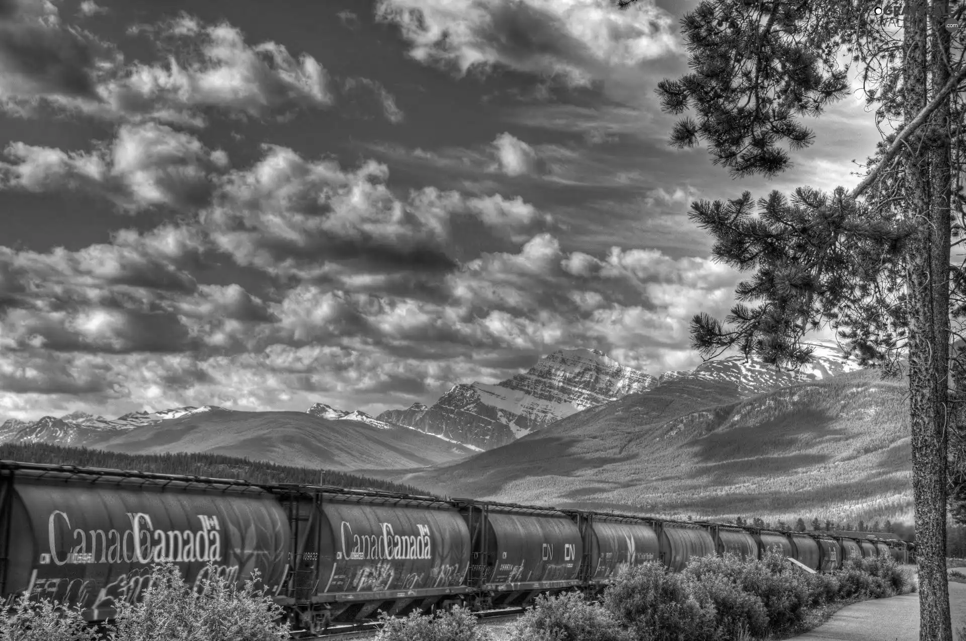 Mountains, trees, Wagons, clouds