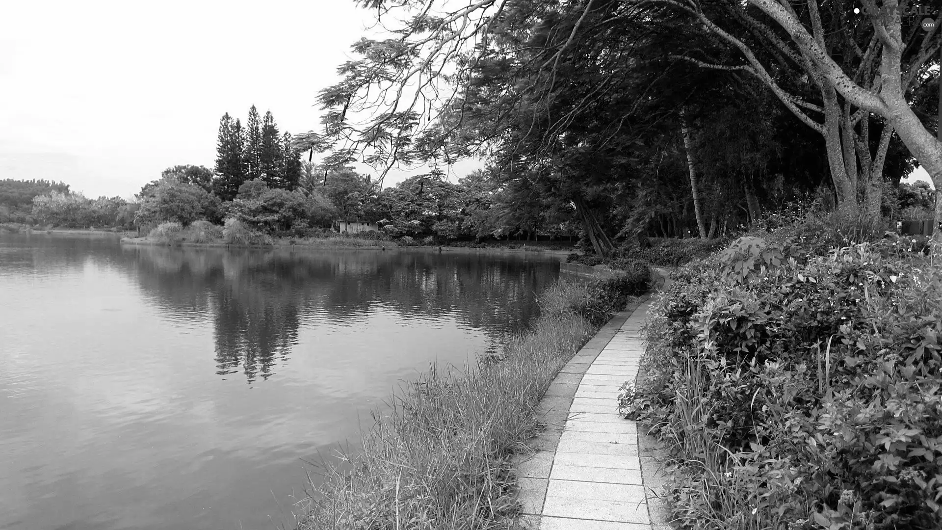 Park, Path, walking, River