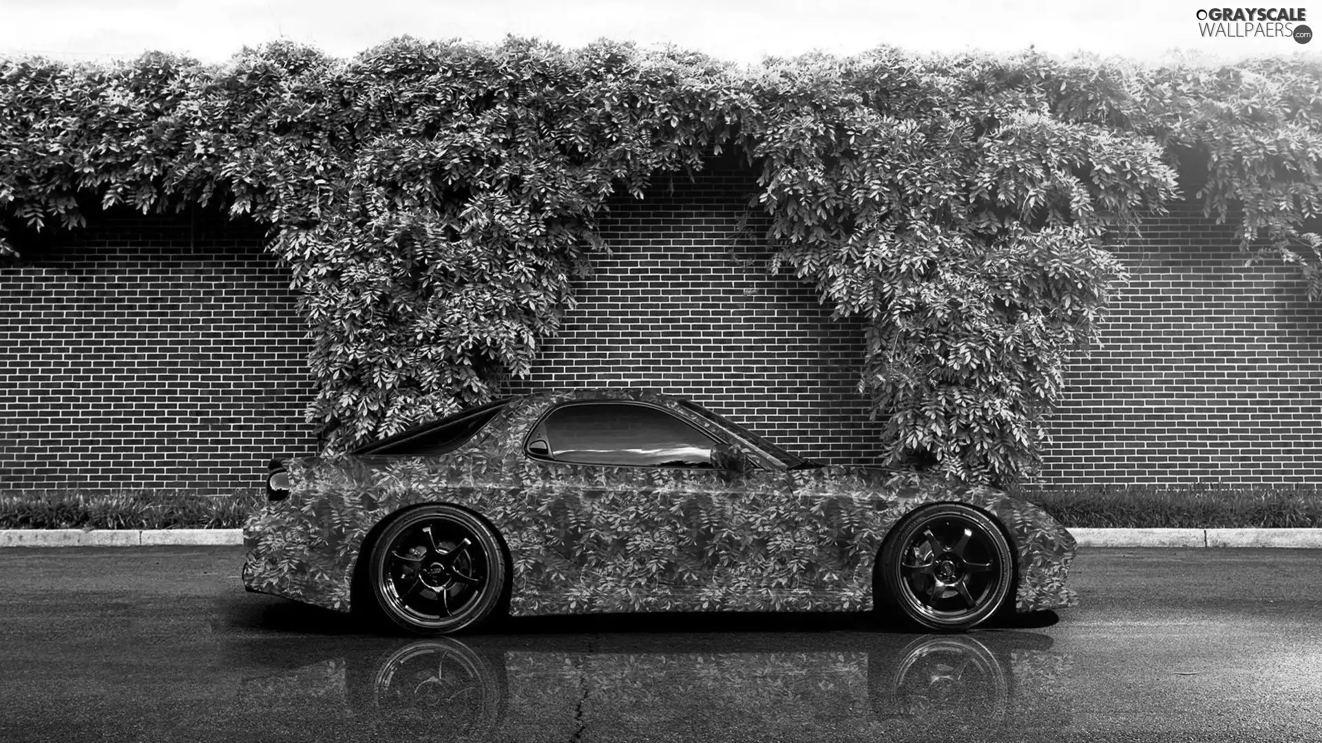 Mazda, Plants, wall, Rx-7