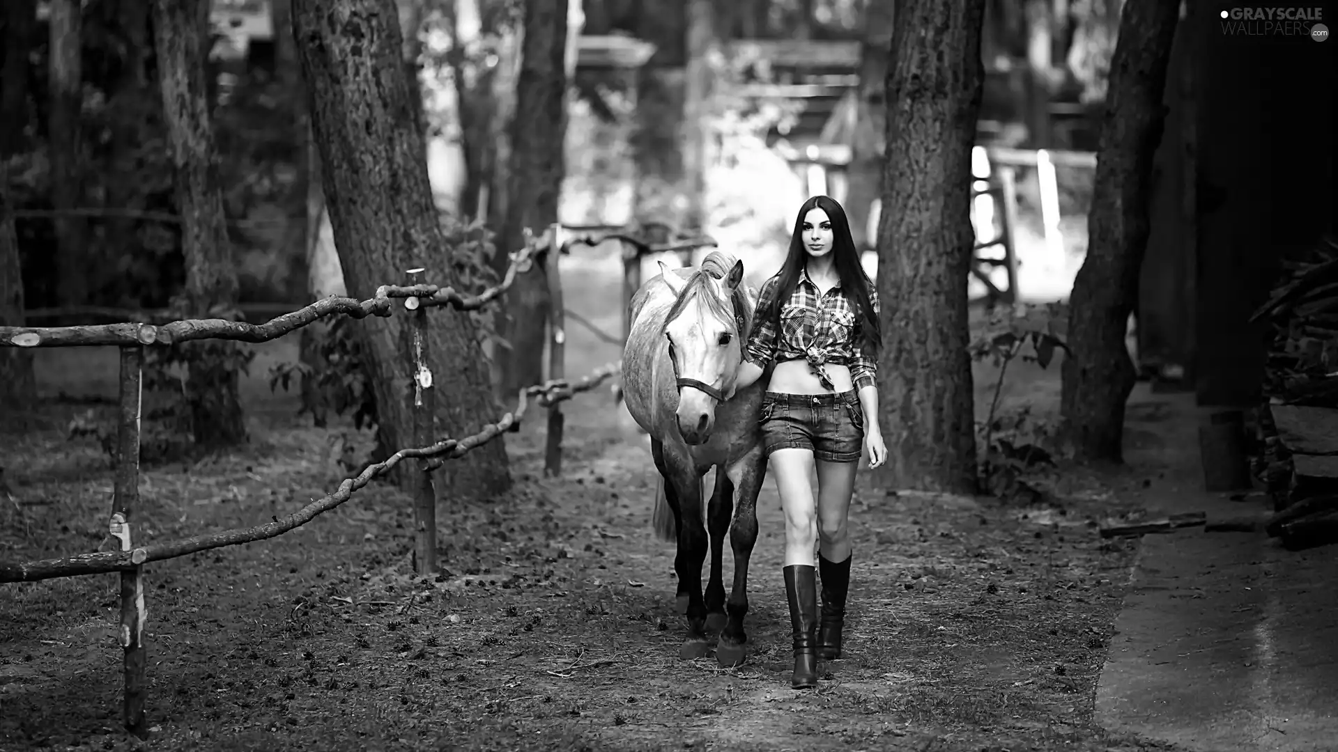 forest, Women, wander, Horse