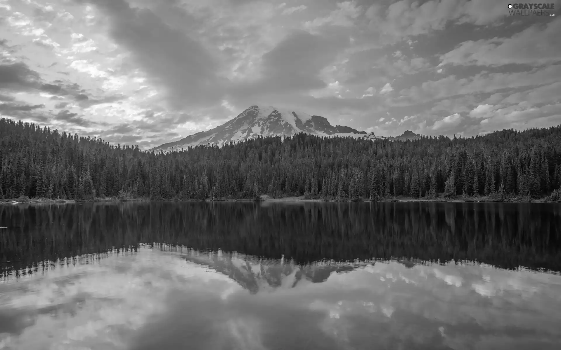 Mountains, Mount Rainier National Park, lake, trees, Washington State, The United States, Sunrise, clouds, viewes