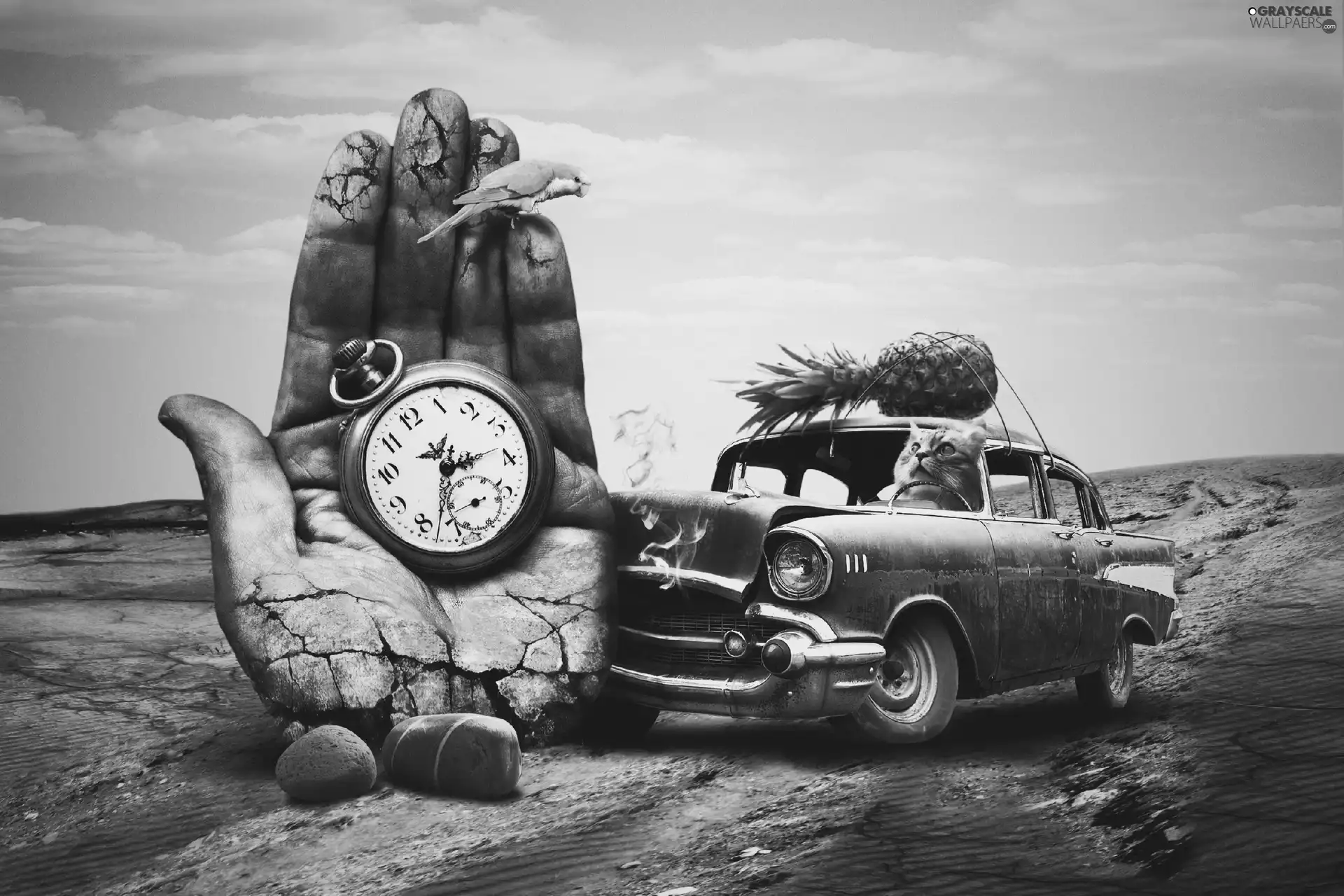 Watch, ananas, hand, Automobile, fantasy