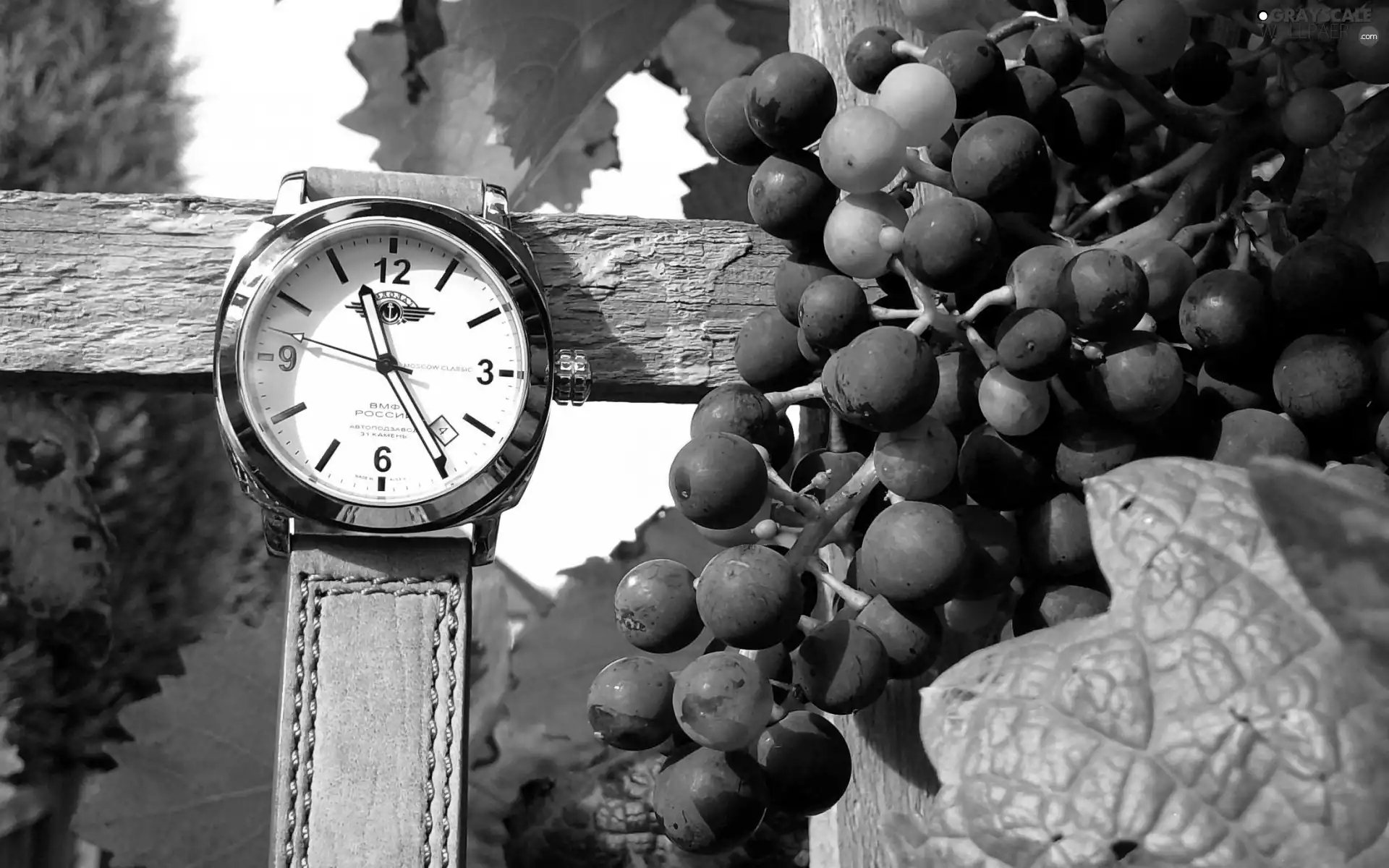 Wooden, Grapes, Watch, hand-rail