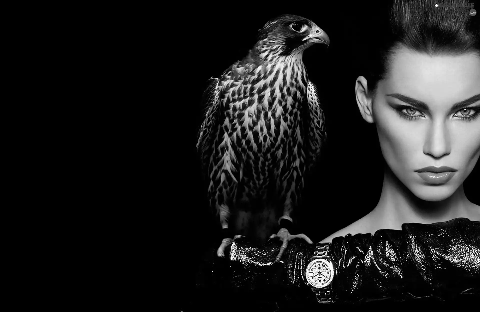Watch, Women, hawk