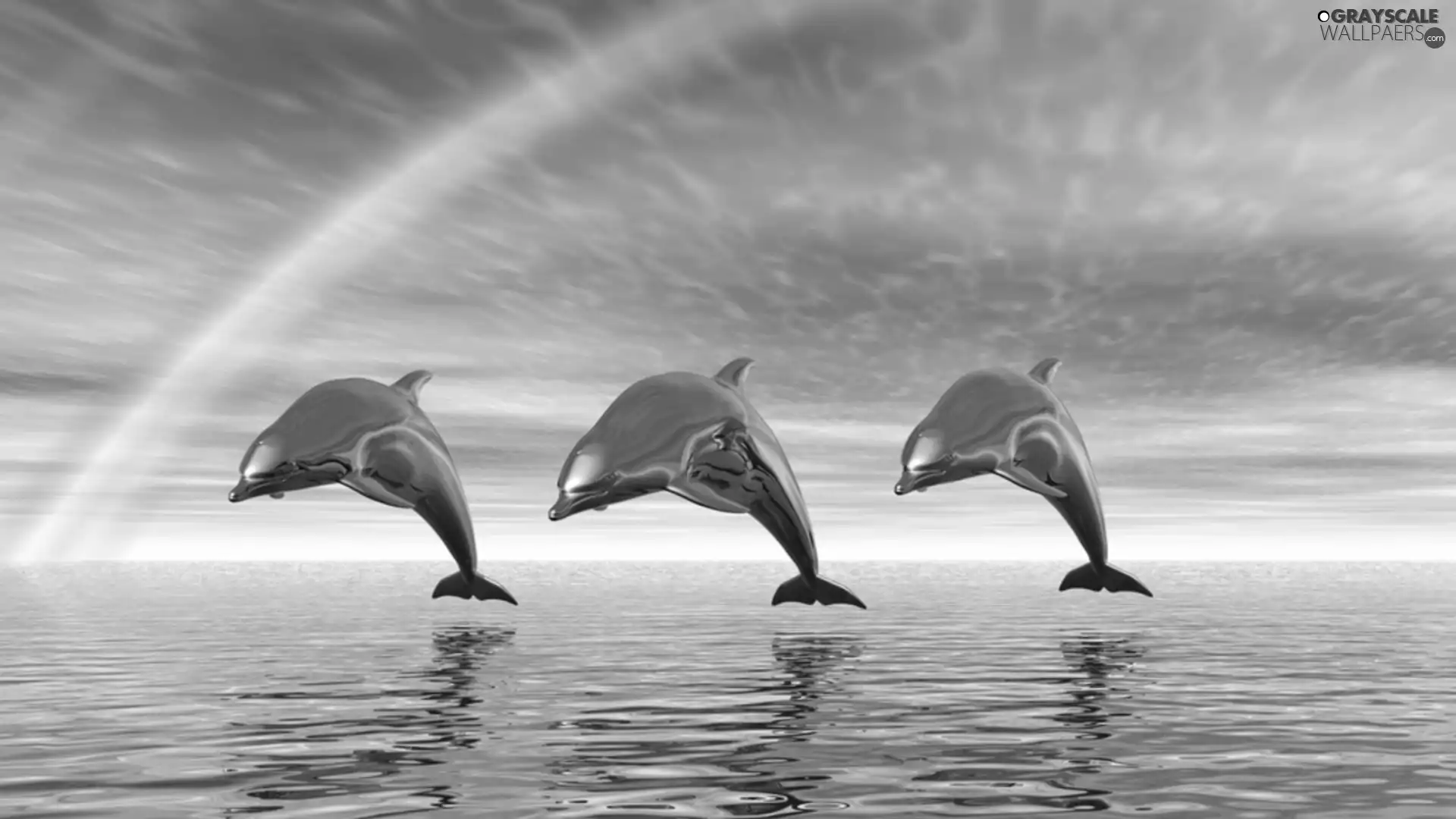 water, 3D, dolphins, Great Rainbows, Three