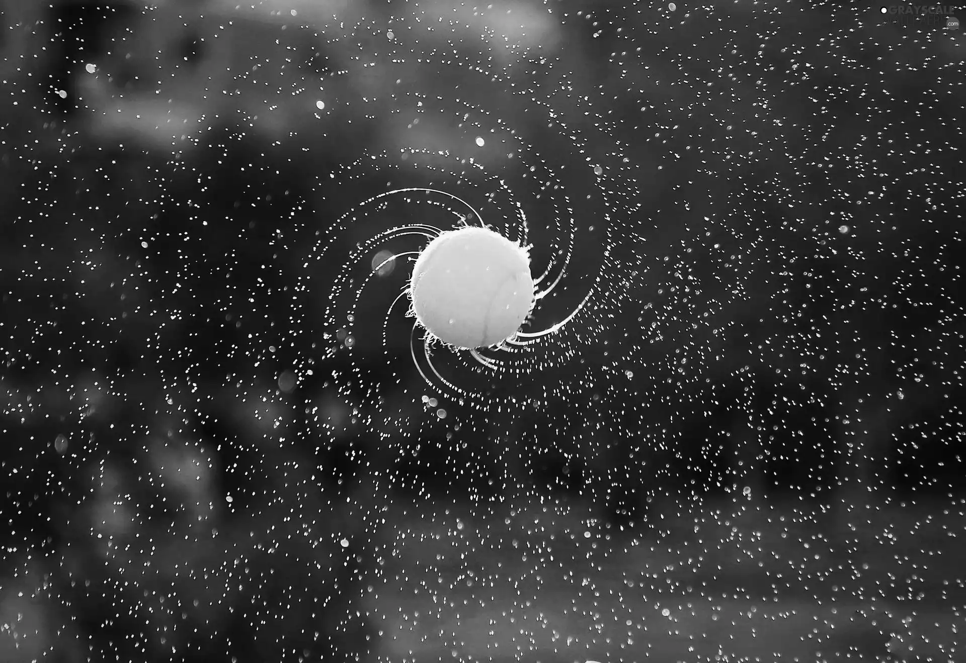 the ball, drops, water, tennis