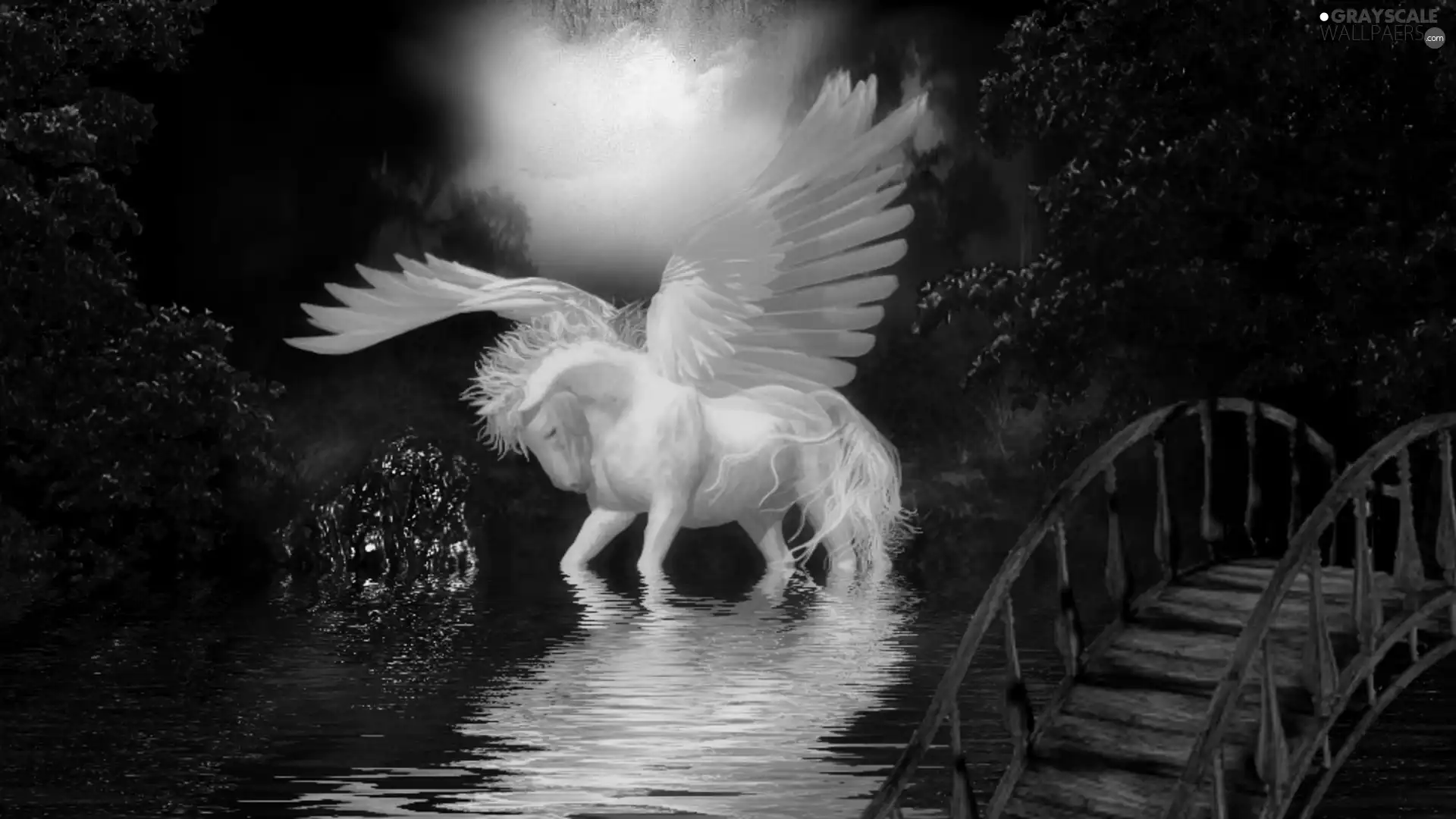 water, Pegasus, bridges