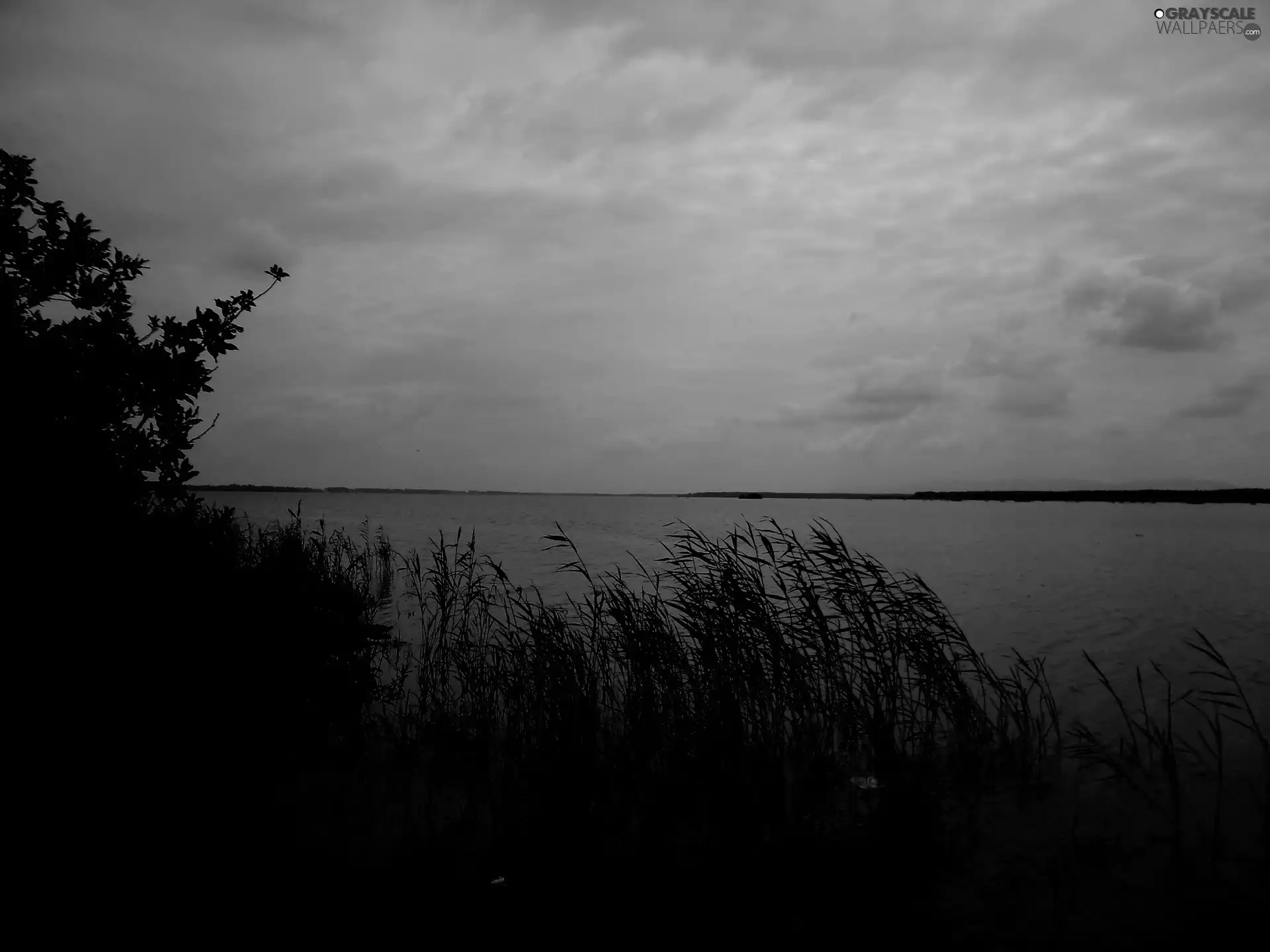 water, clouds, lake, coast, nature