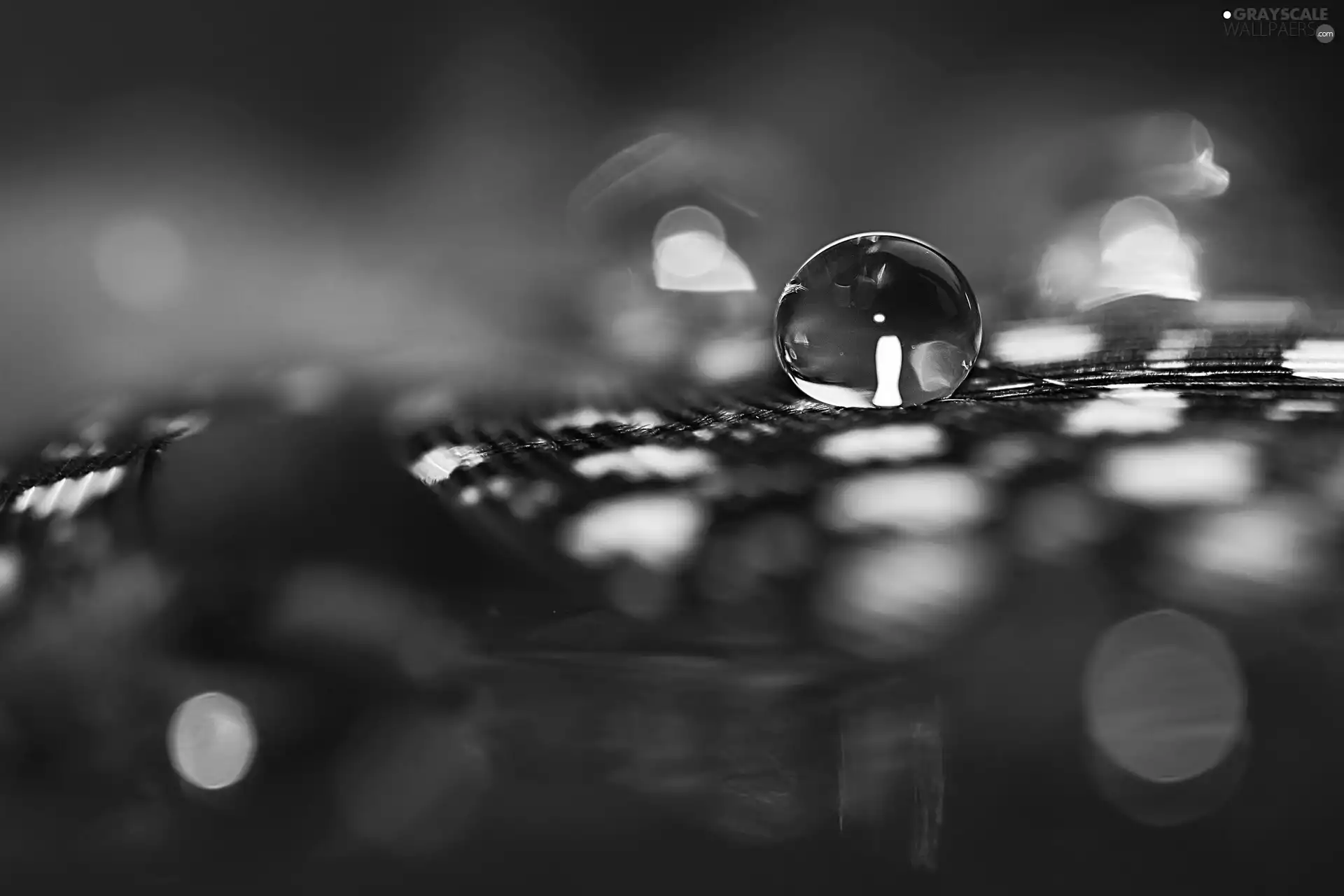 drops, water