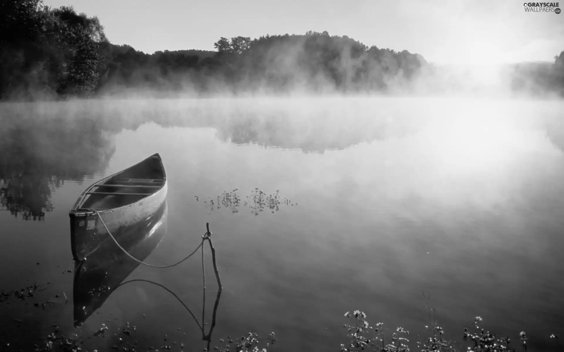 lake, sun, Boat, forest, west, water, Fog