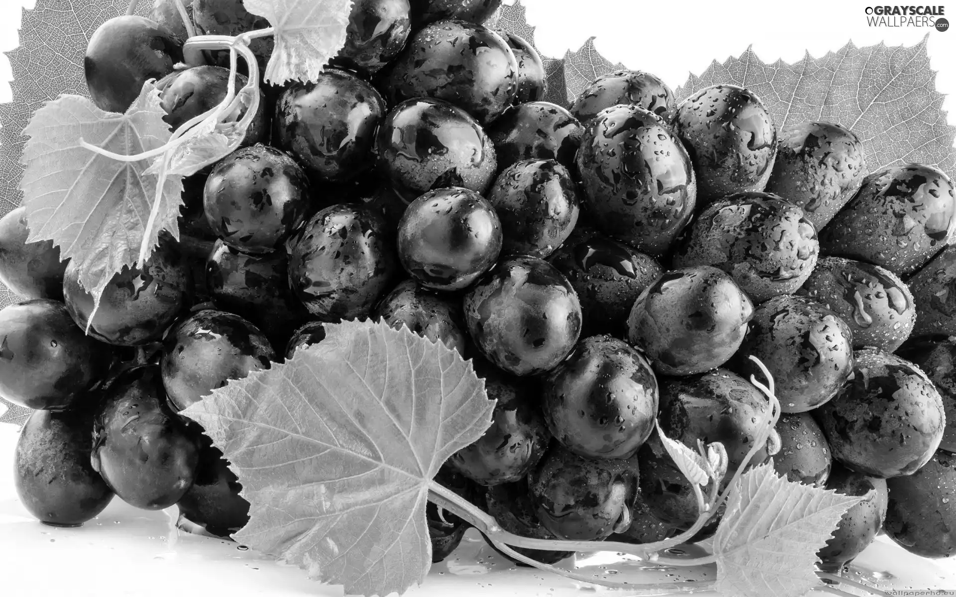 Grapes, droplets, water, leaves