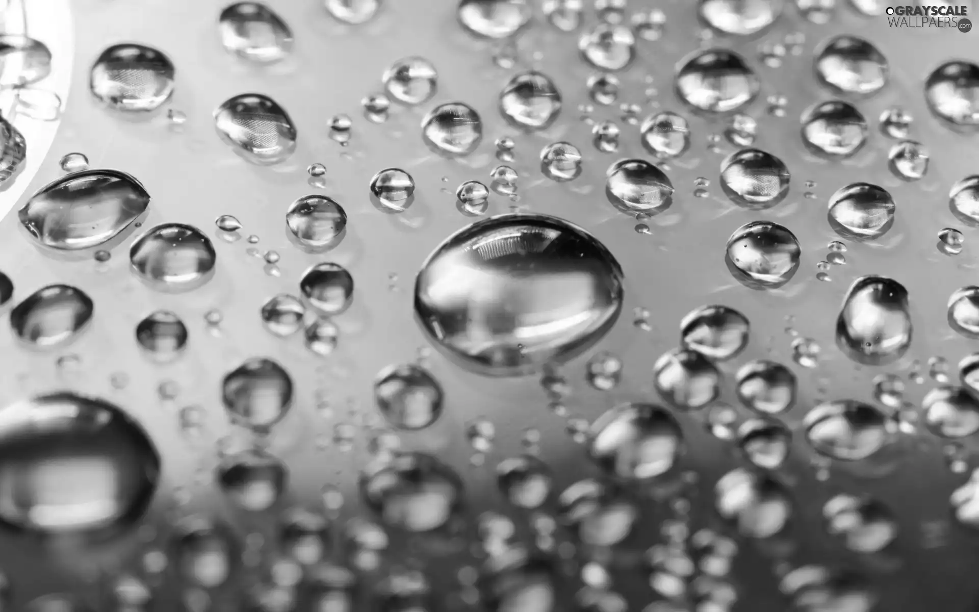 graphics, drops, water, Micro