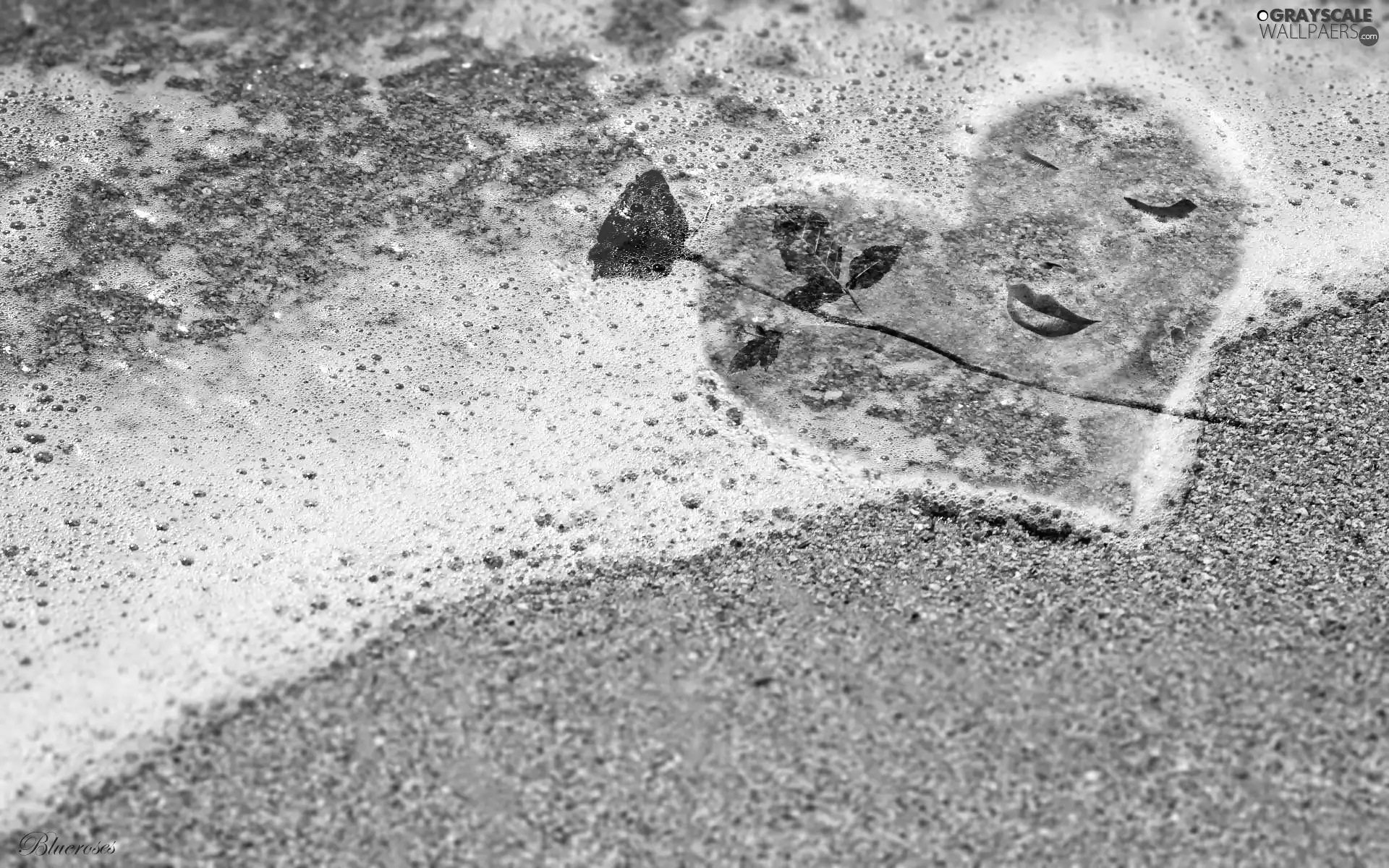 water, graphics, rose, Sand, Heart