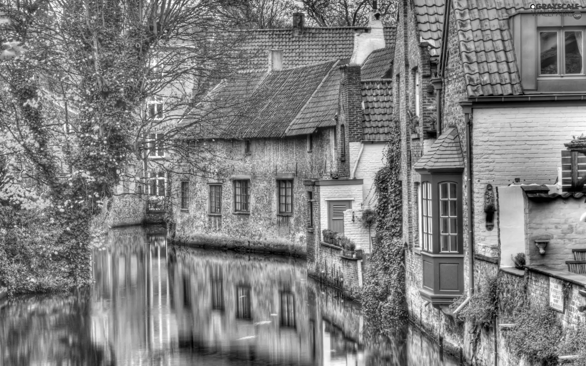 Houses, viewes, water, trees