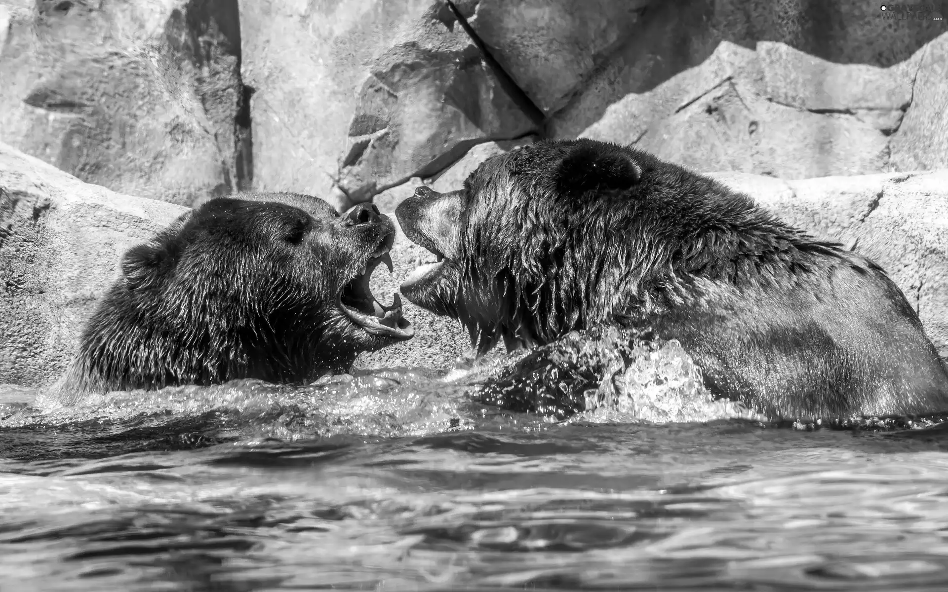 Two cars, rocks, water, Little bears