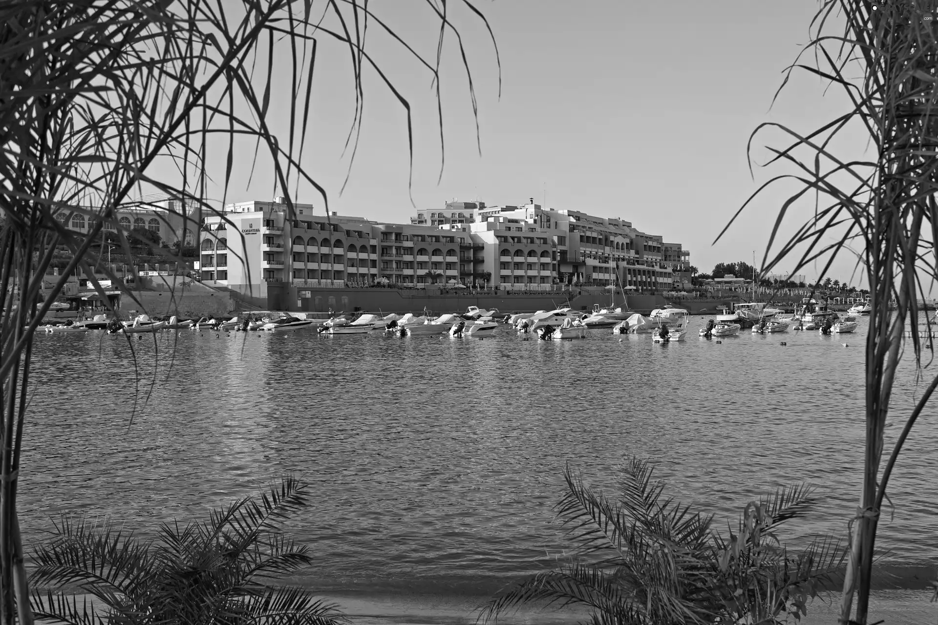 water, Hotels, motorboat