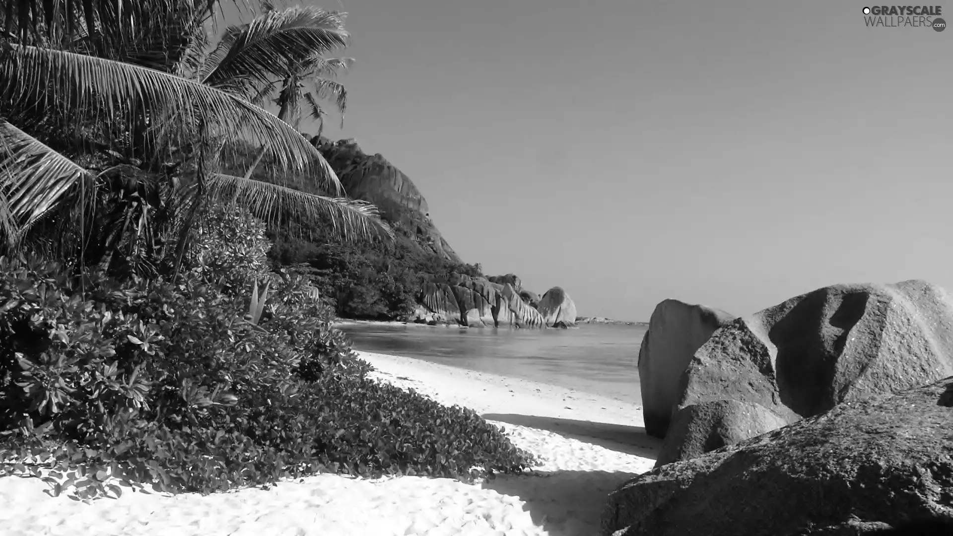 VEGETATION, Sand, water, mountains, Rocks, Palm