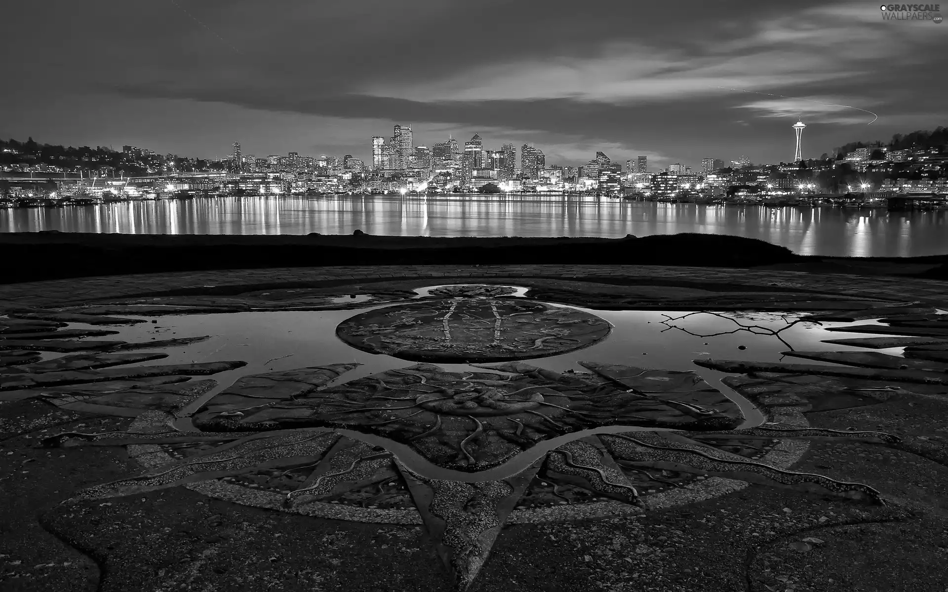 panorama, starfish, water, town