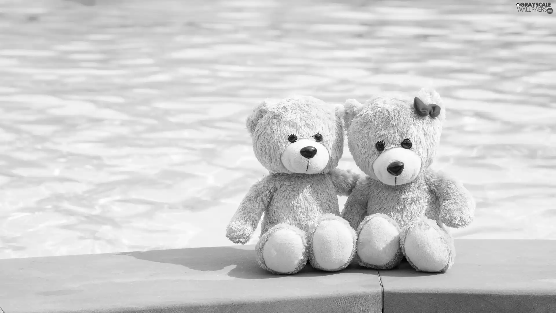 water, bear, plushies