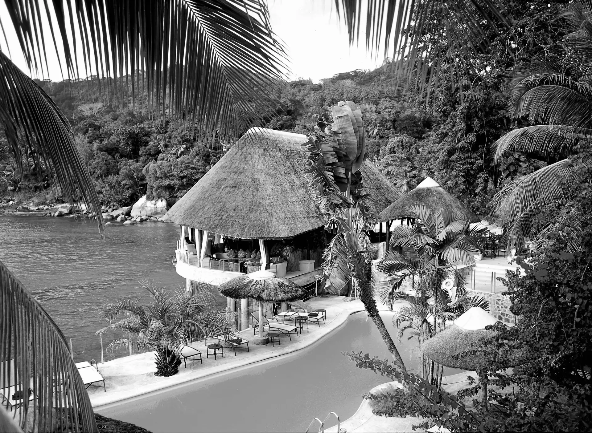 Pool, The hotel, water, Bar