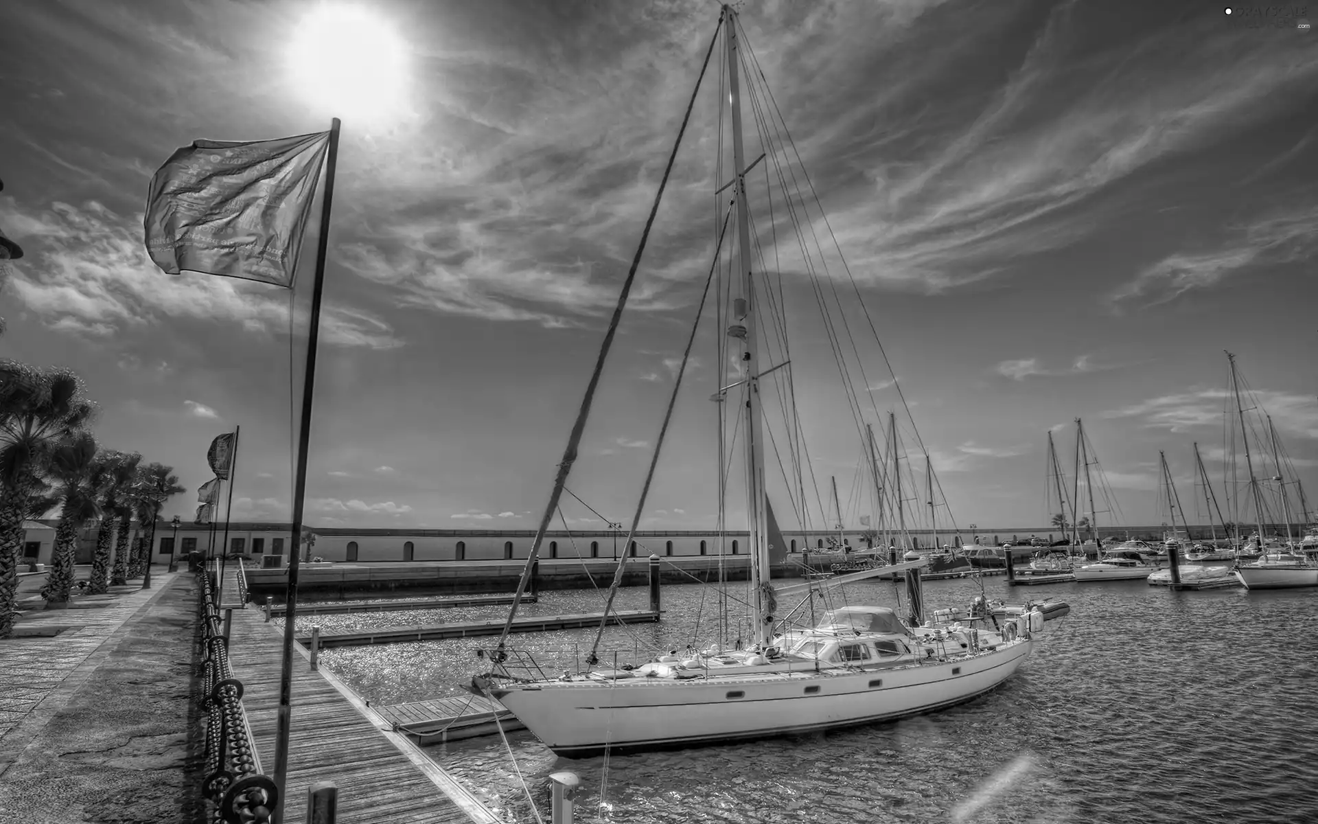 Sailboats, Harbour