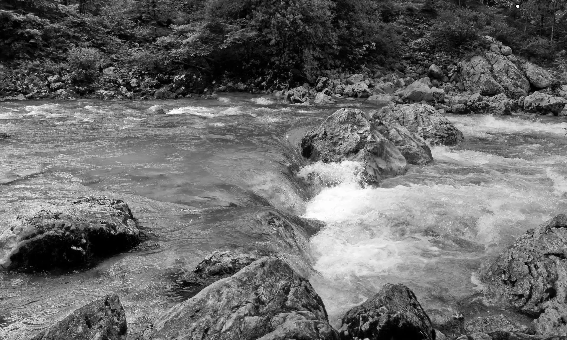 River, foamed, water, Stones