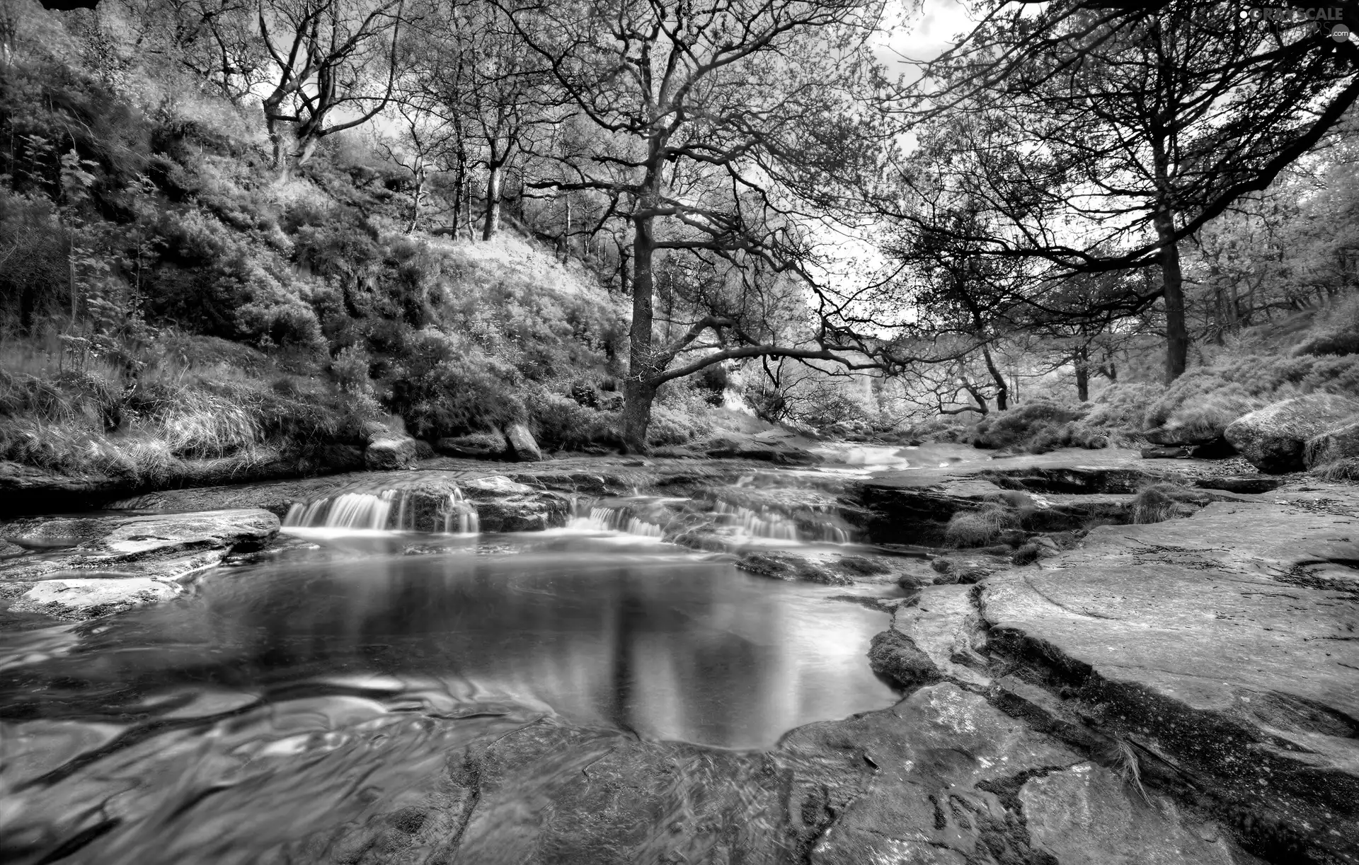 water, Stones rocks, viewes, Cascades, trees