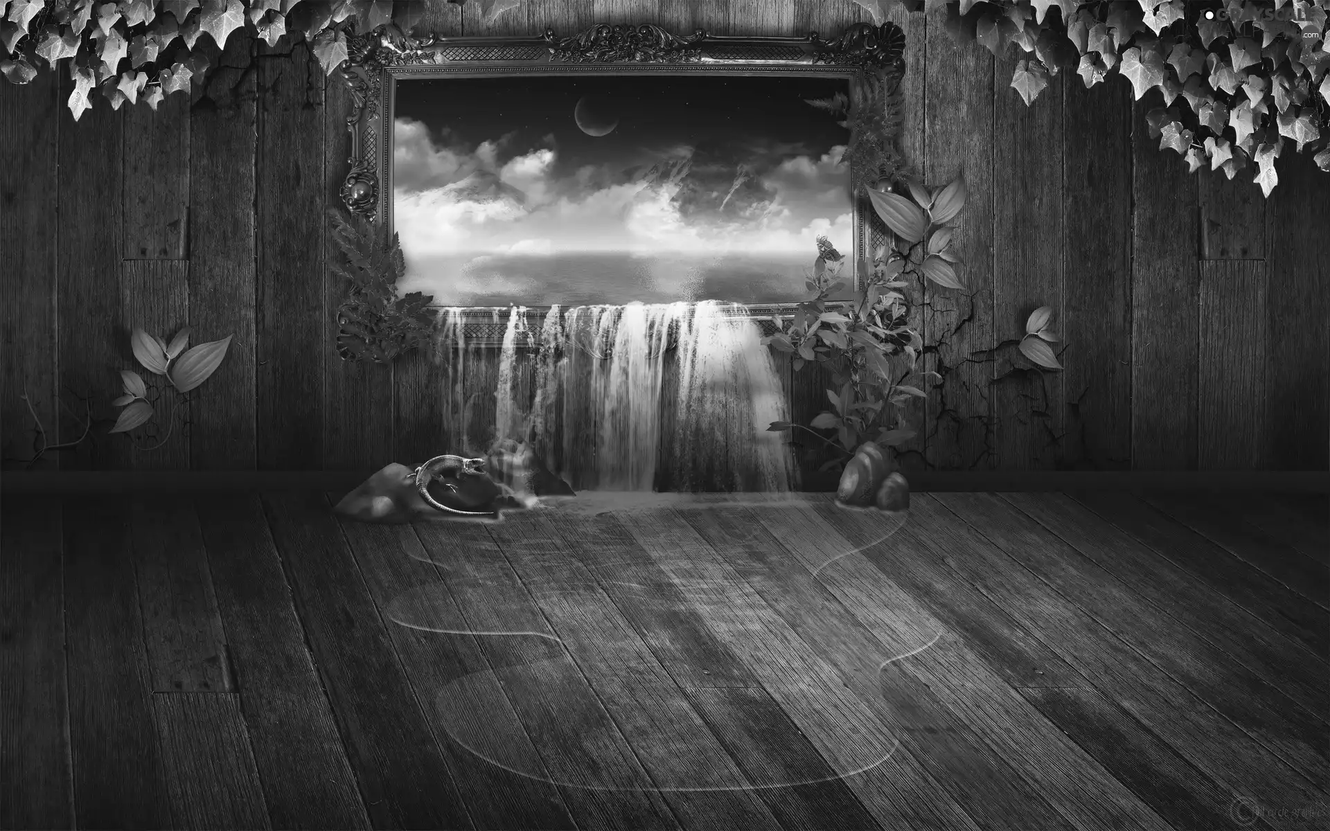 water, saurian, Window, pouring, Room